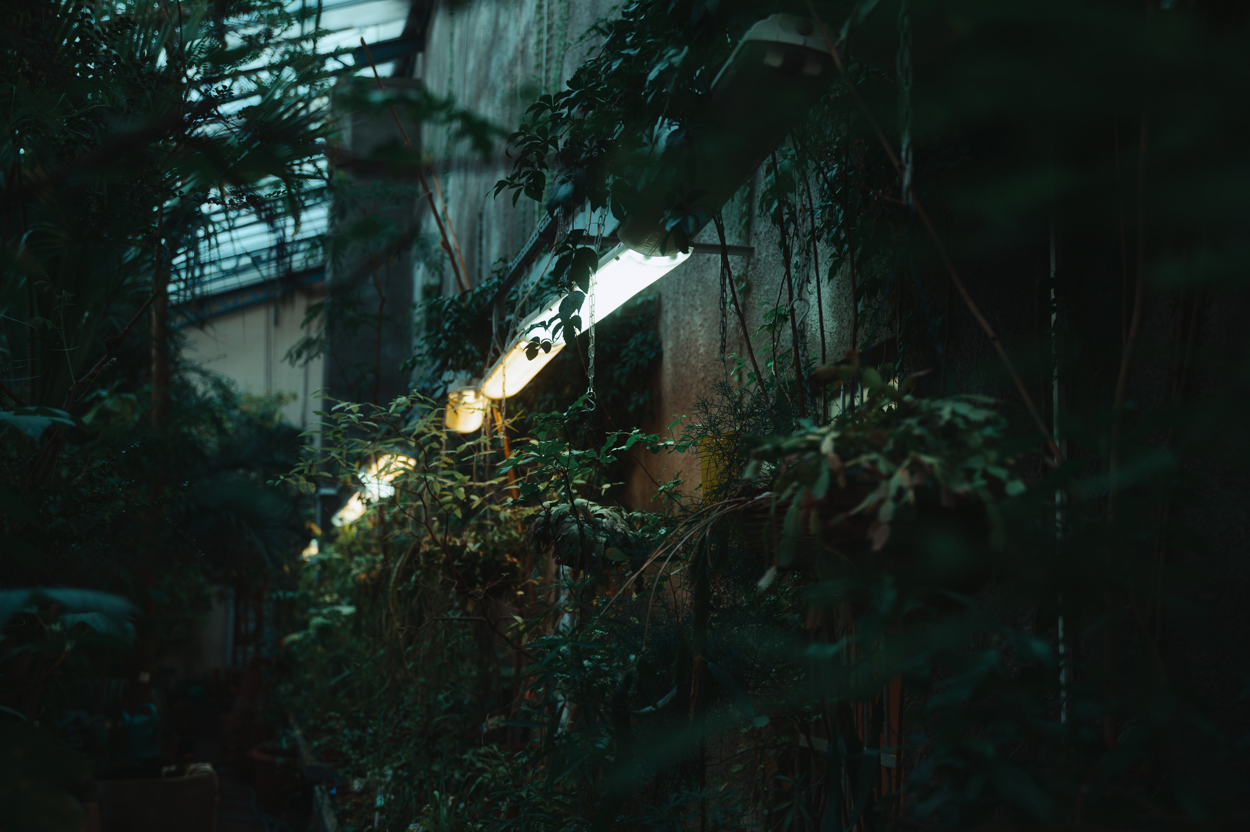 Jpg. Портретный и репортажный фотограф в Санкт-Петербурге