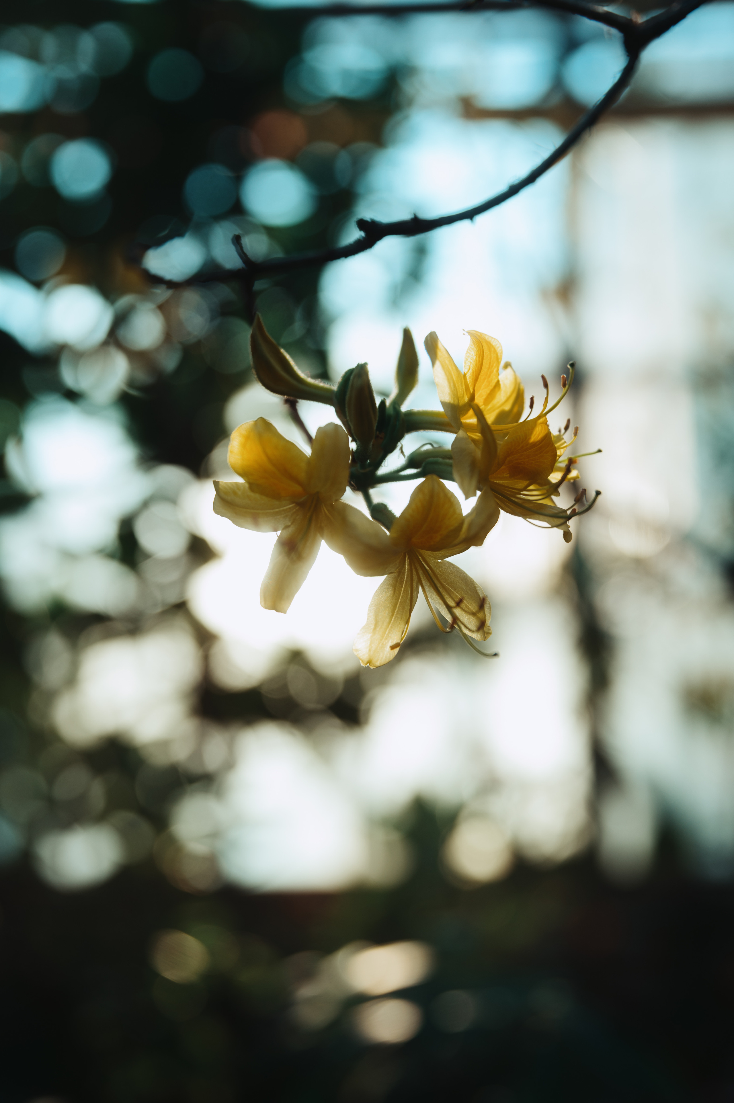 Jpg. Портретный и репортажный фотограф в Санкт-Петербурге