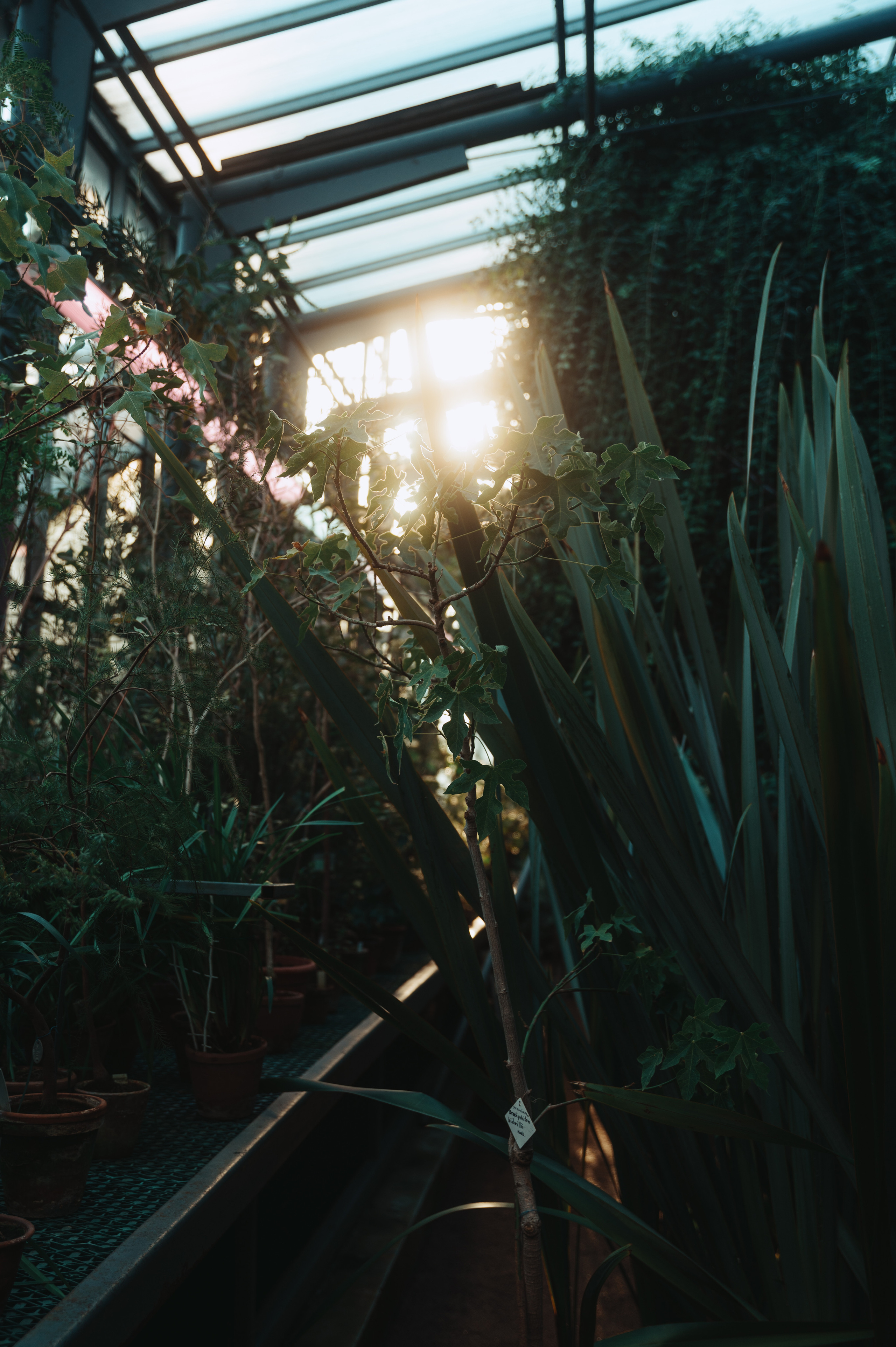 Jpg. Портретный и репортажный фотограф в Санкт-Петербурге