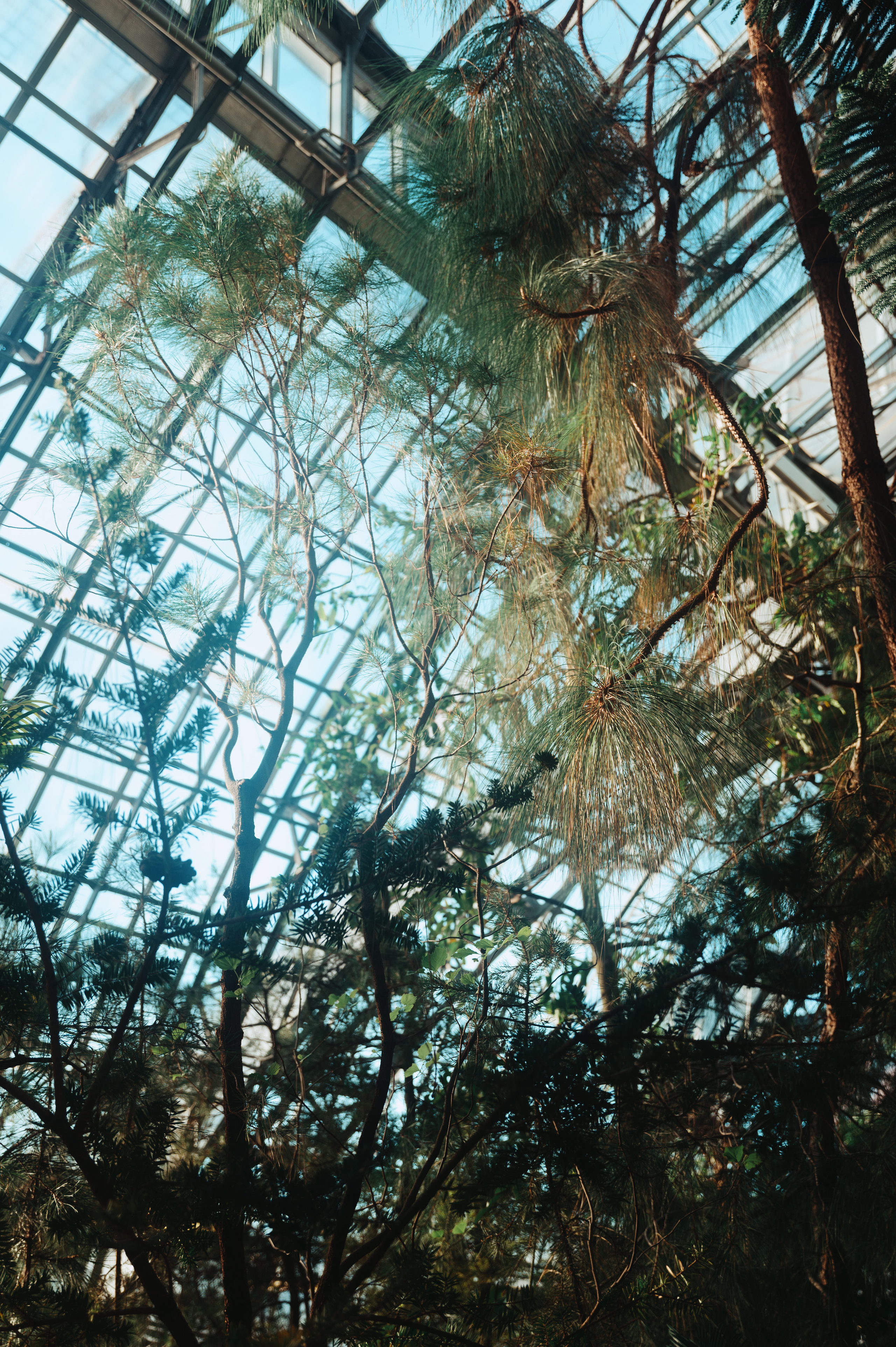 Jpg. Портретный и репортажный фотограф в Санкт-Петербурге