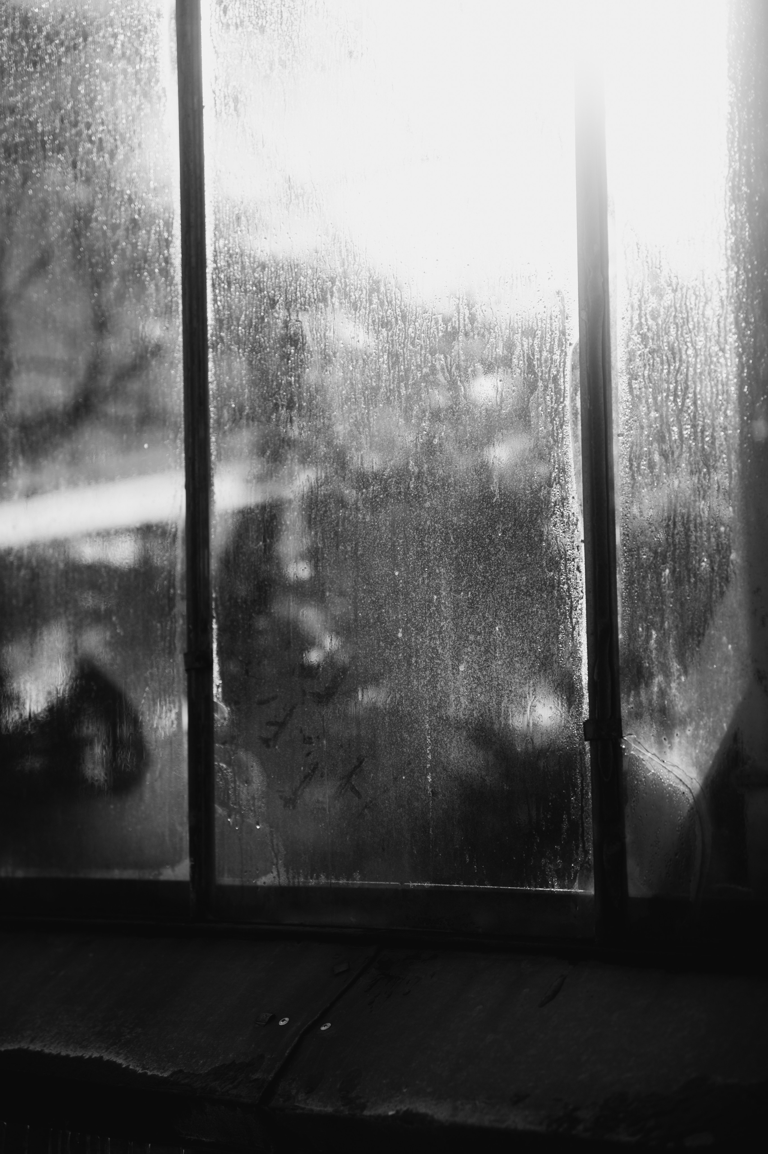 Jpg. Портретный и репортажный фотограф в Санкт-Петербурге