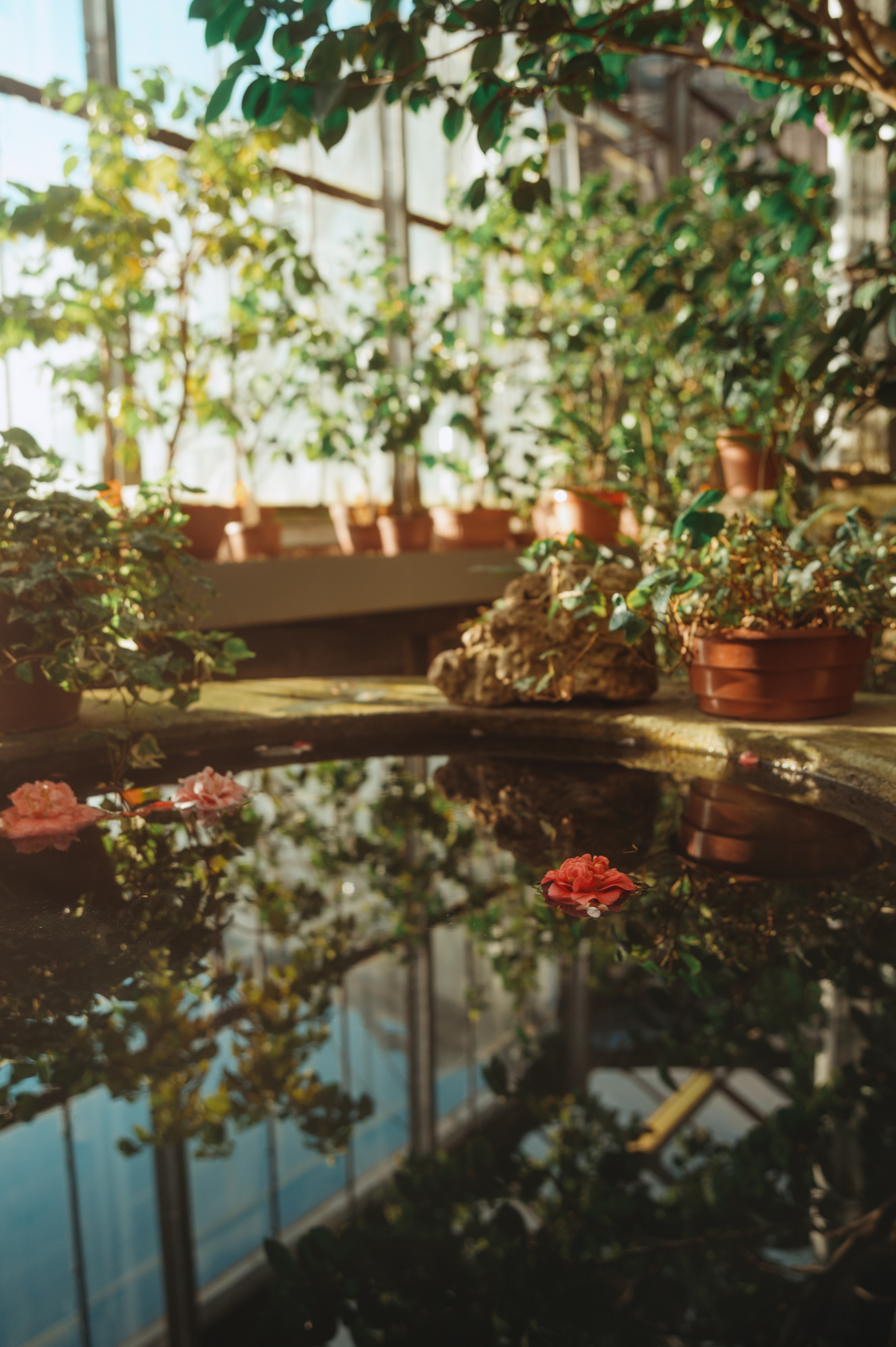 Jpg. Портретный и репортажный фотограф в Санкт-Петербурге