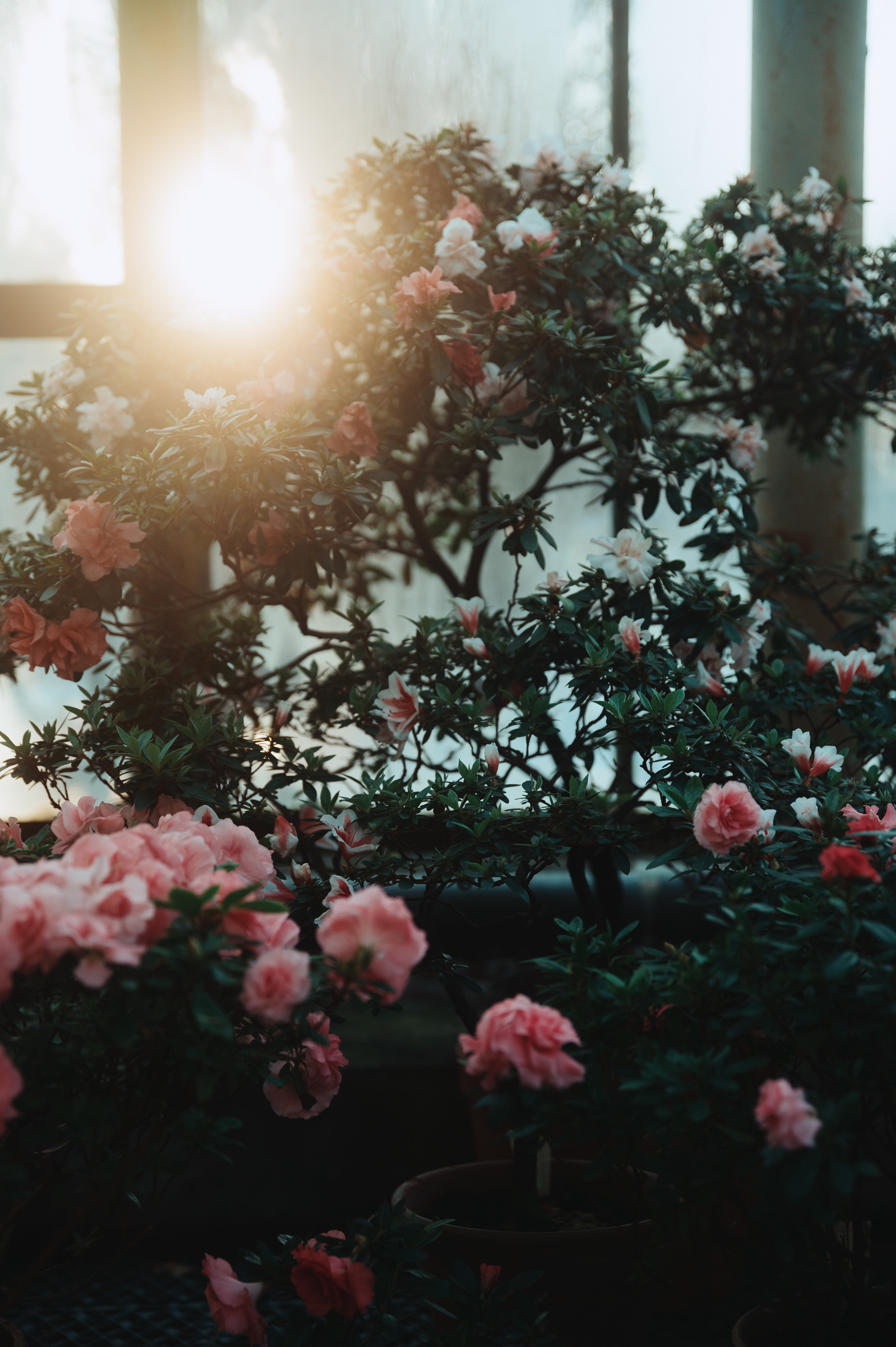 Jpg. Портретный и репортажный фотограф в Санкт-Петербурге