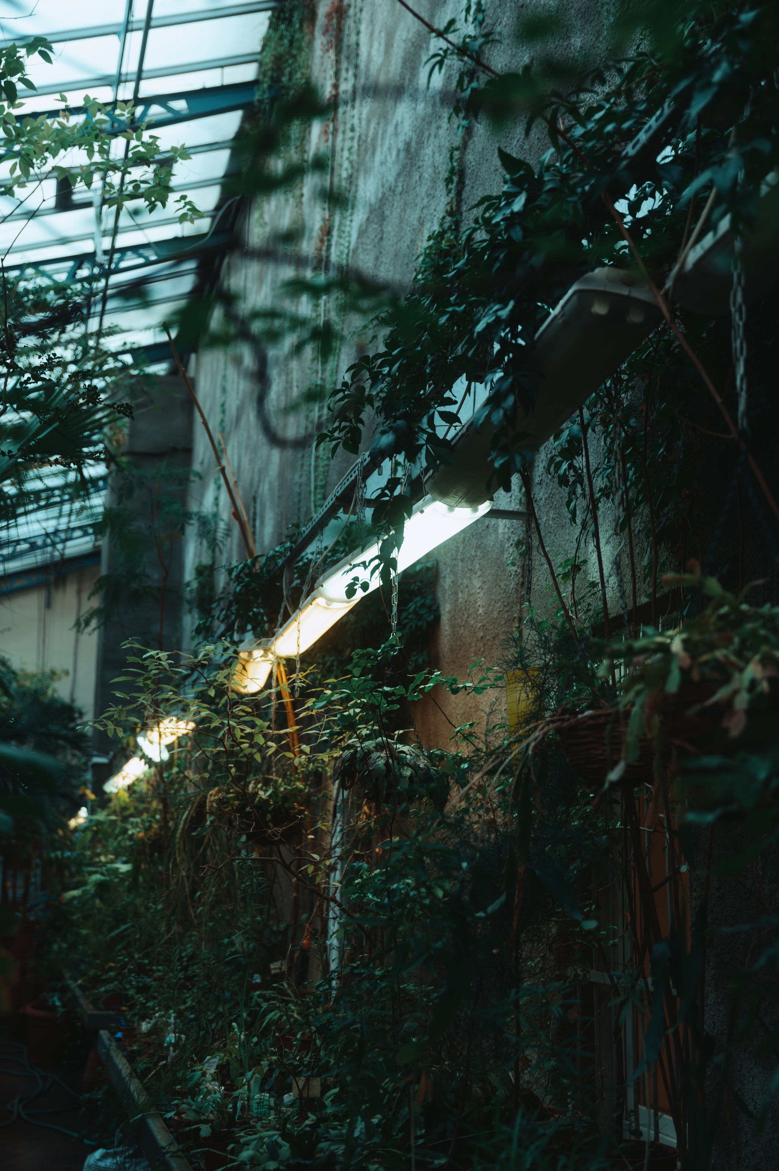 Jpg. Портретный и репортажный фотограф в Санкт-Петербурге