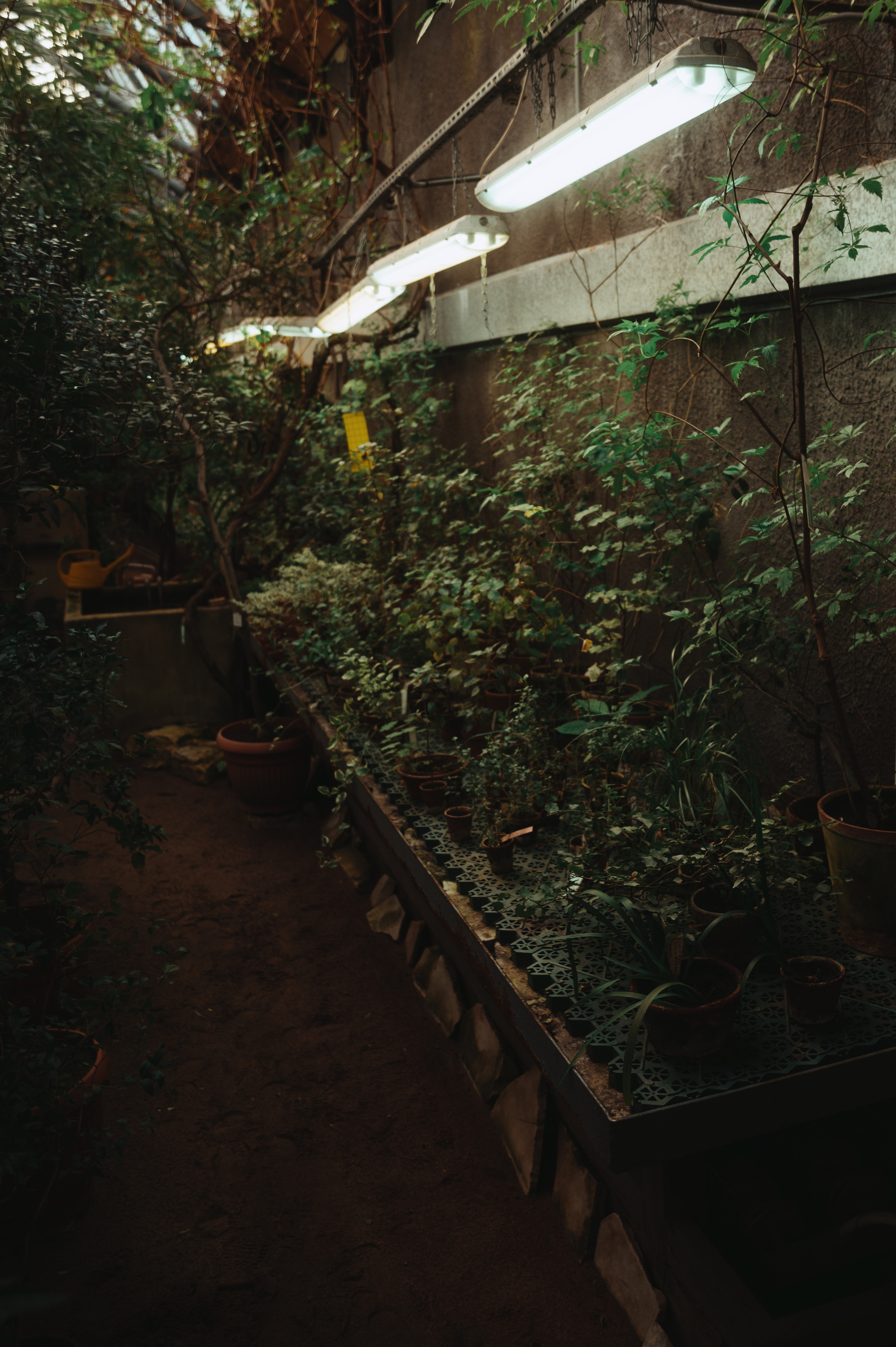 Jpg. Портретный и репортажный фотограф в Санкт-Петербурге