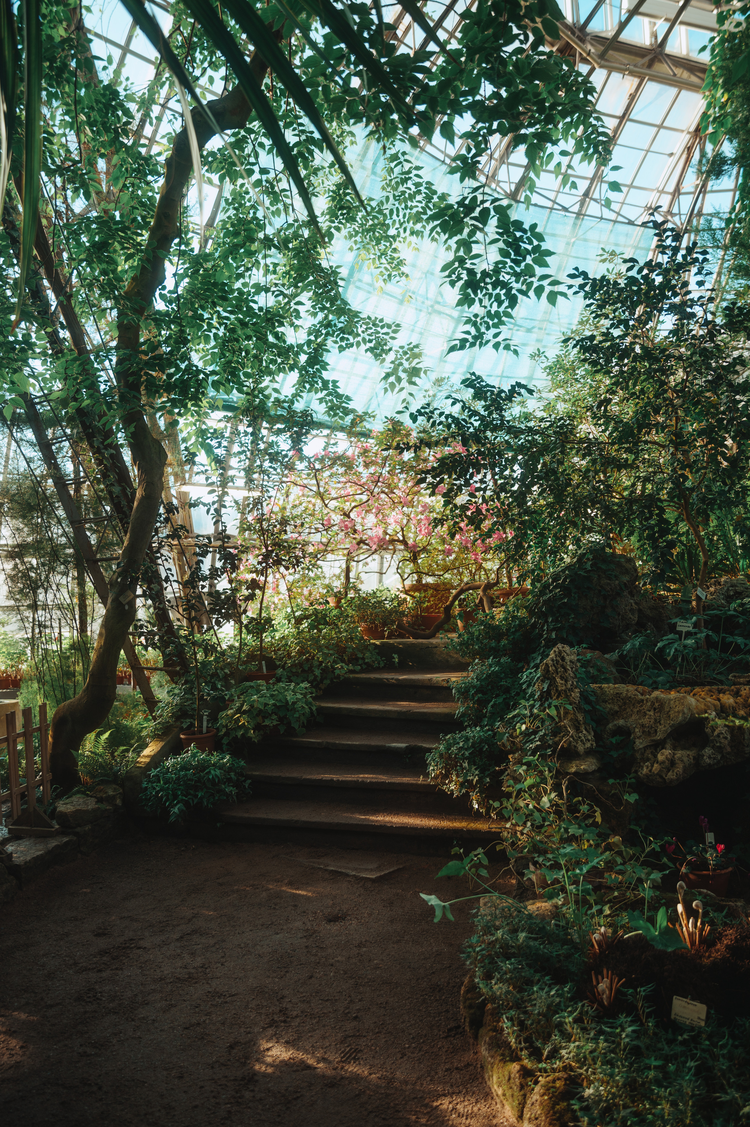 Jpg. Портретный и репортажный фотограф в Санкт-Петербурге