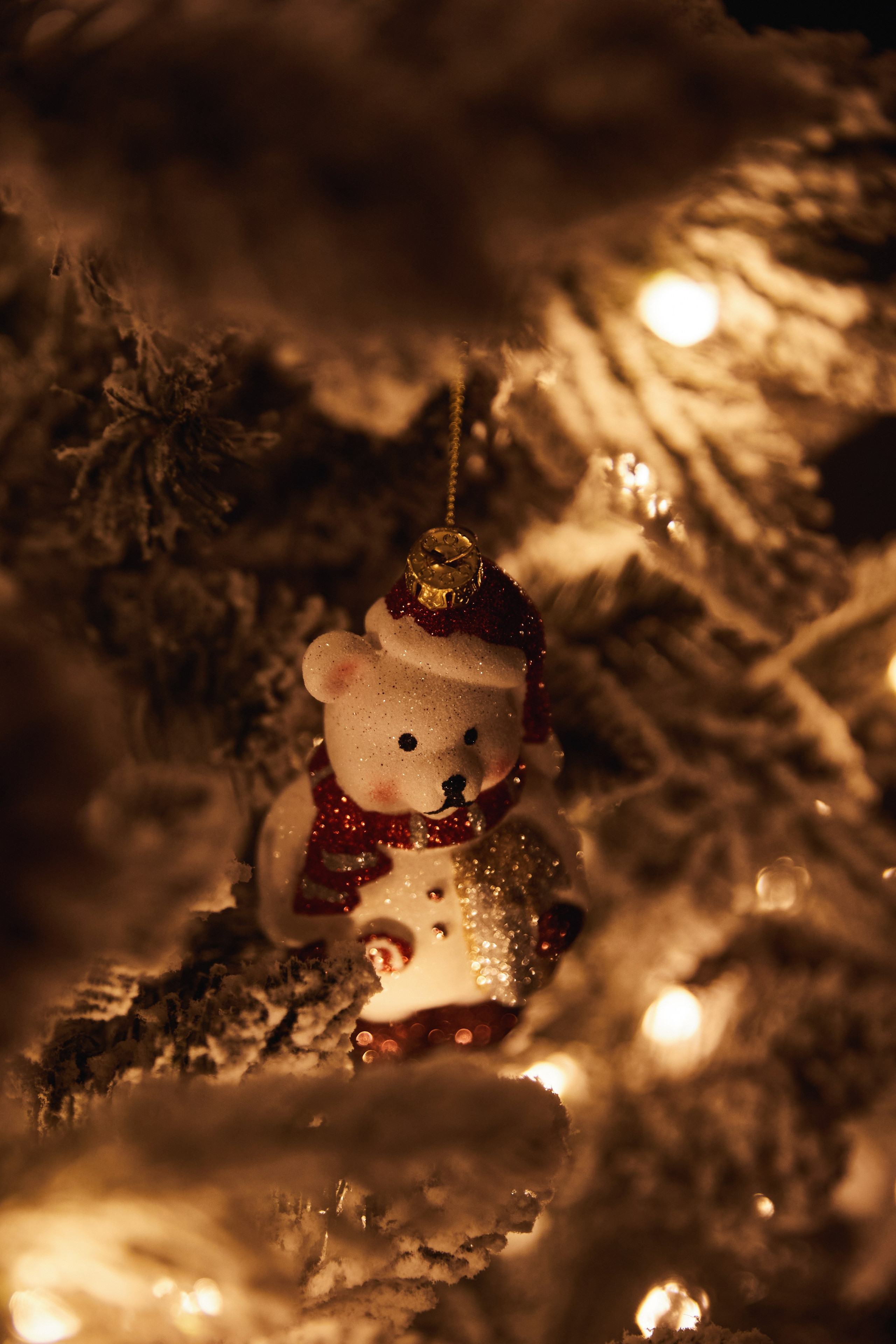 Новогодний корпоратив. Фотограф и видеограф в Кургане Леонид Корнильев