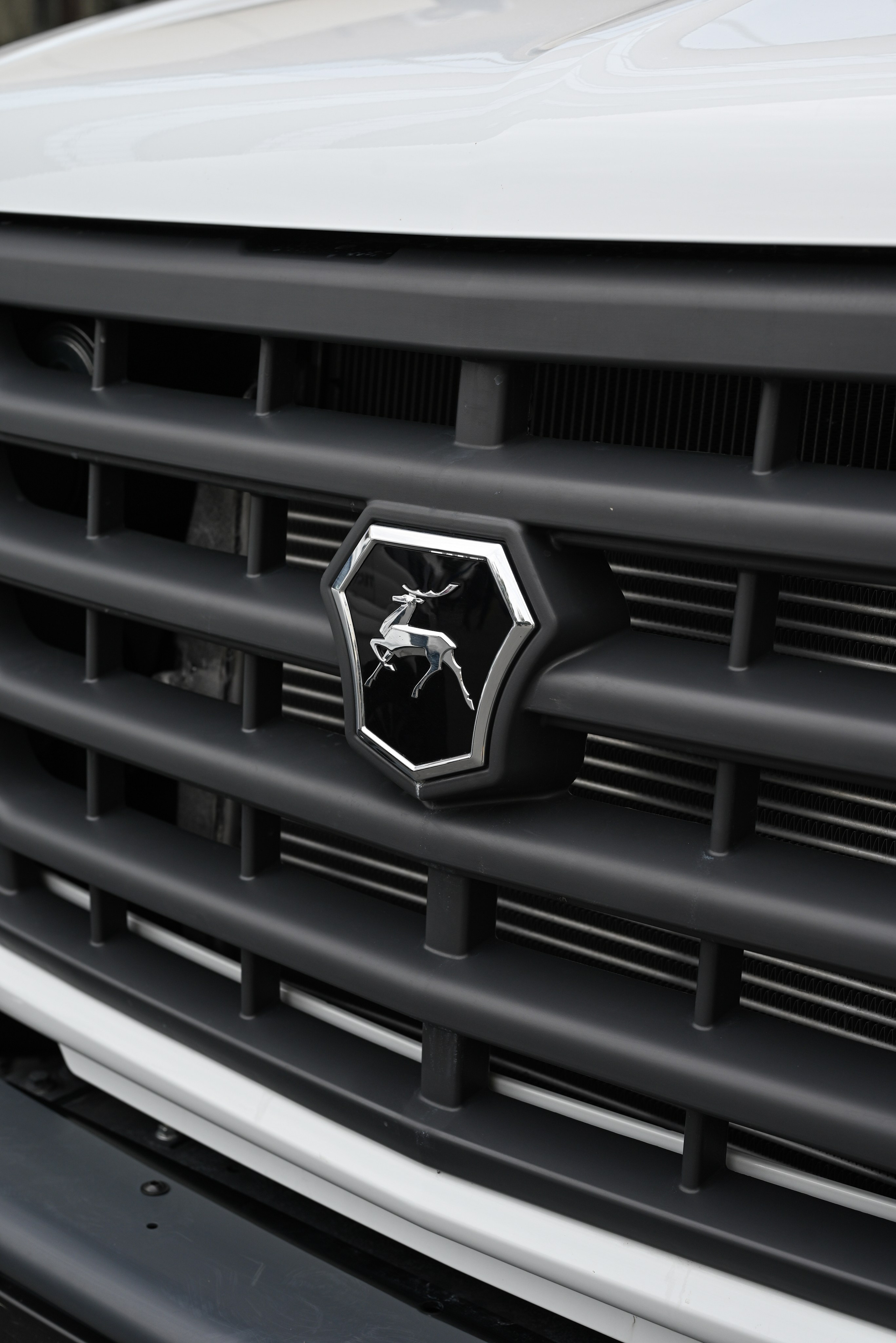 ЛУИДОР выставка. Свадебный и семейный фотограф в Уфе Александров Максим