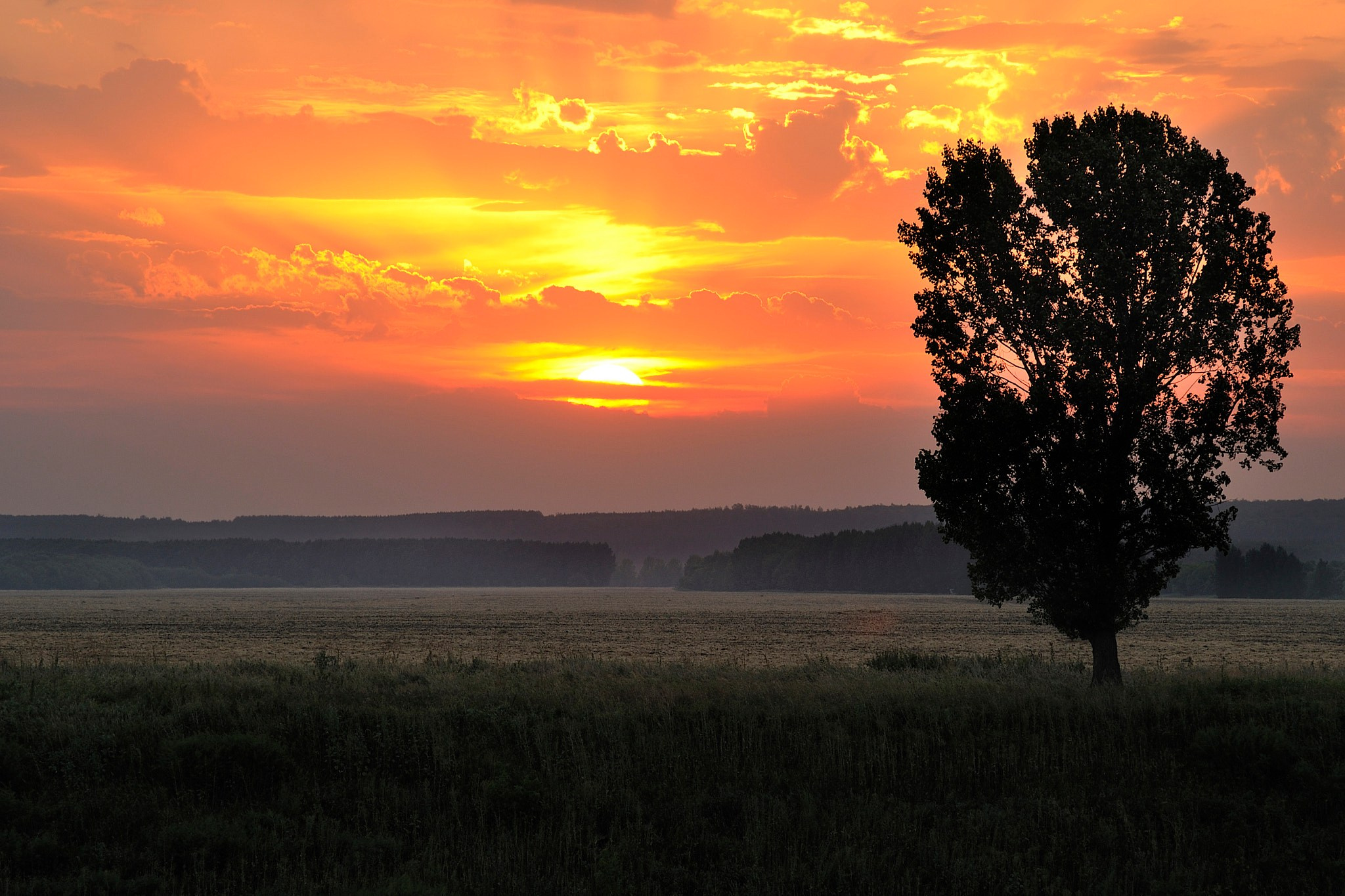 Пейзаж. Фотограф и видеооператор из Москвы Алексей Черкасов