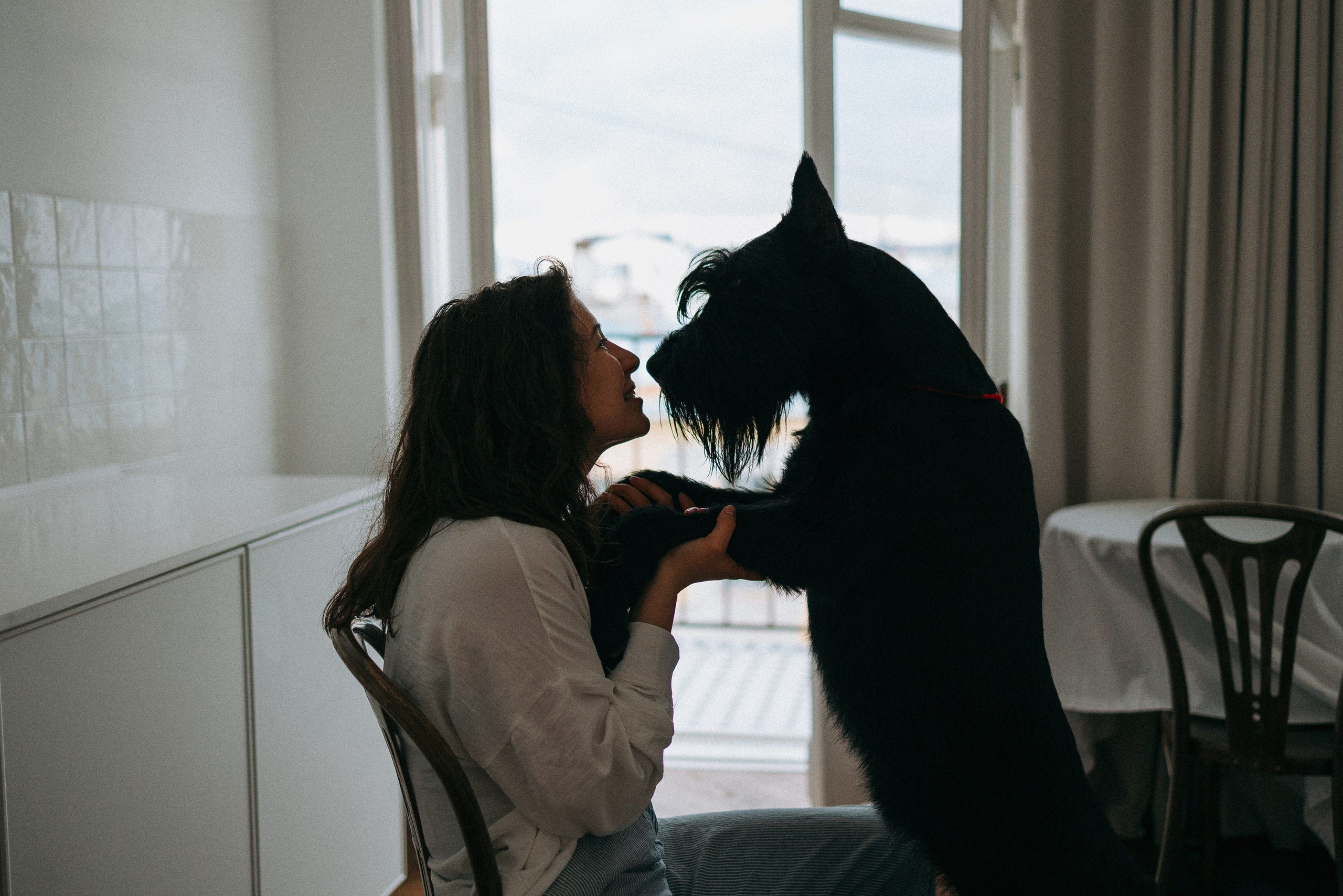 Умбра и Даша. Фотограф анималист Анастасия Пикей