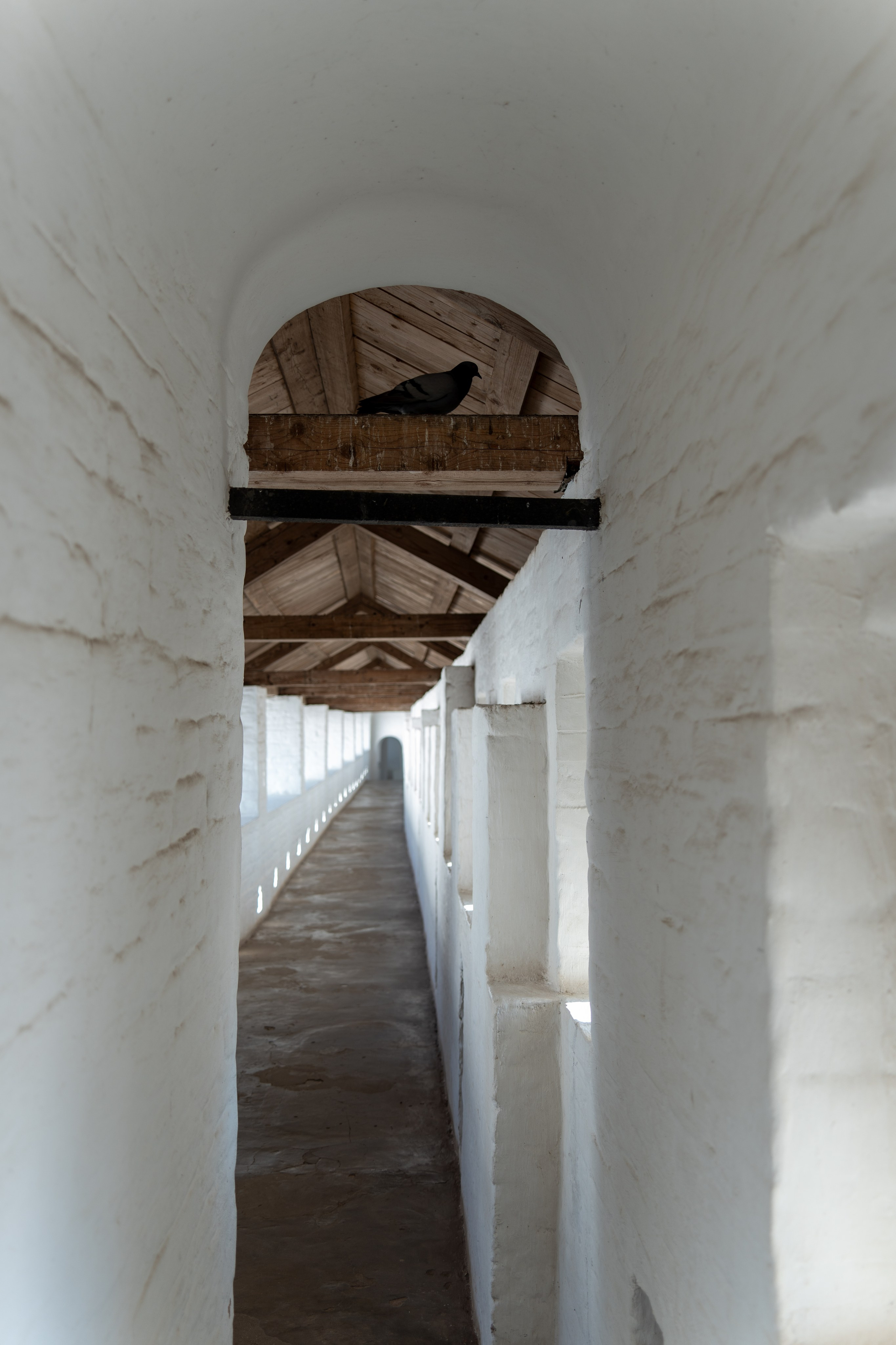 20250729-30 Ростов. Дмитрий Ремизов. Фотография, как хобби