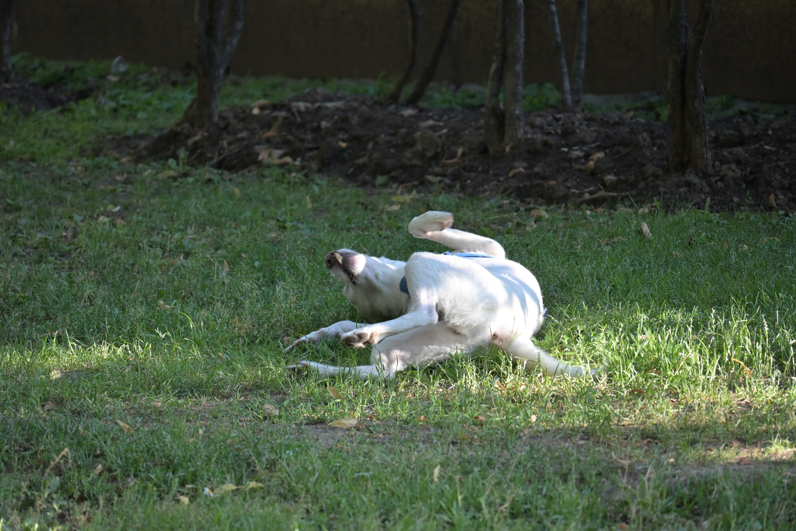 20240720 от Сретенского бульвара до площади Революции. Дмитрий Ремизов. Фотография, как хобби