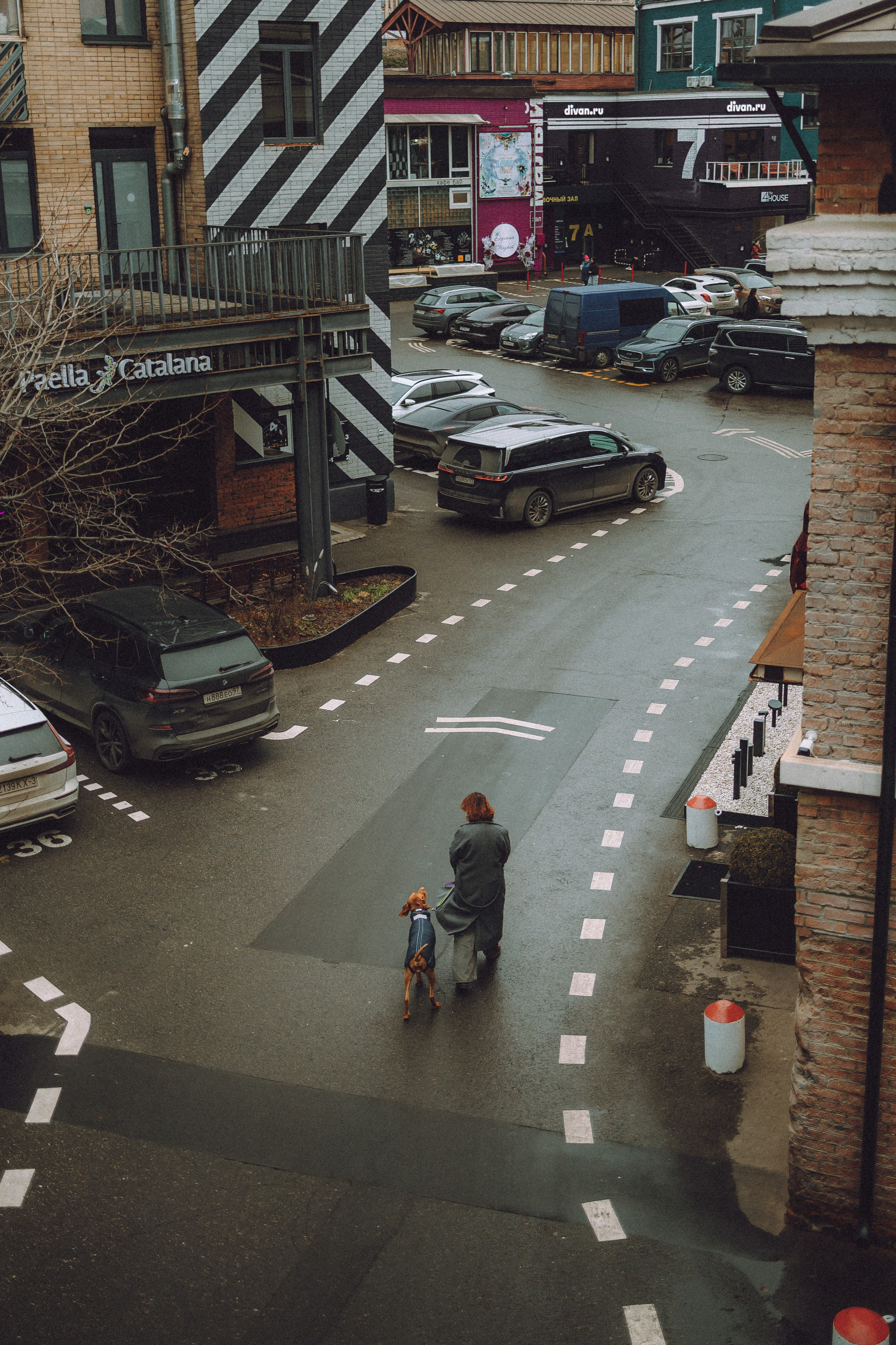 Екатерина и Даня