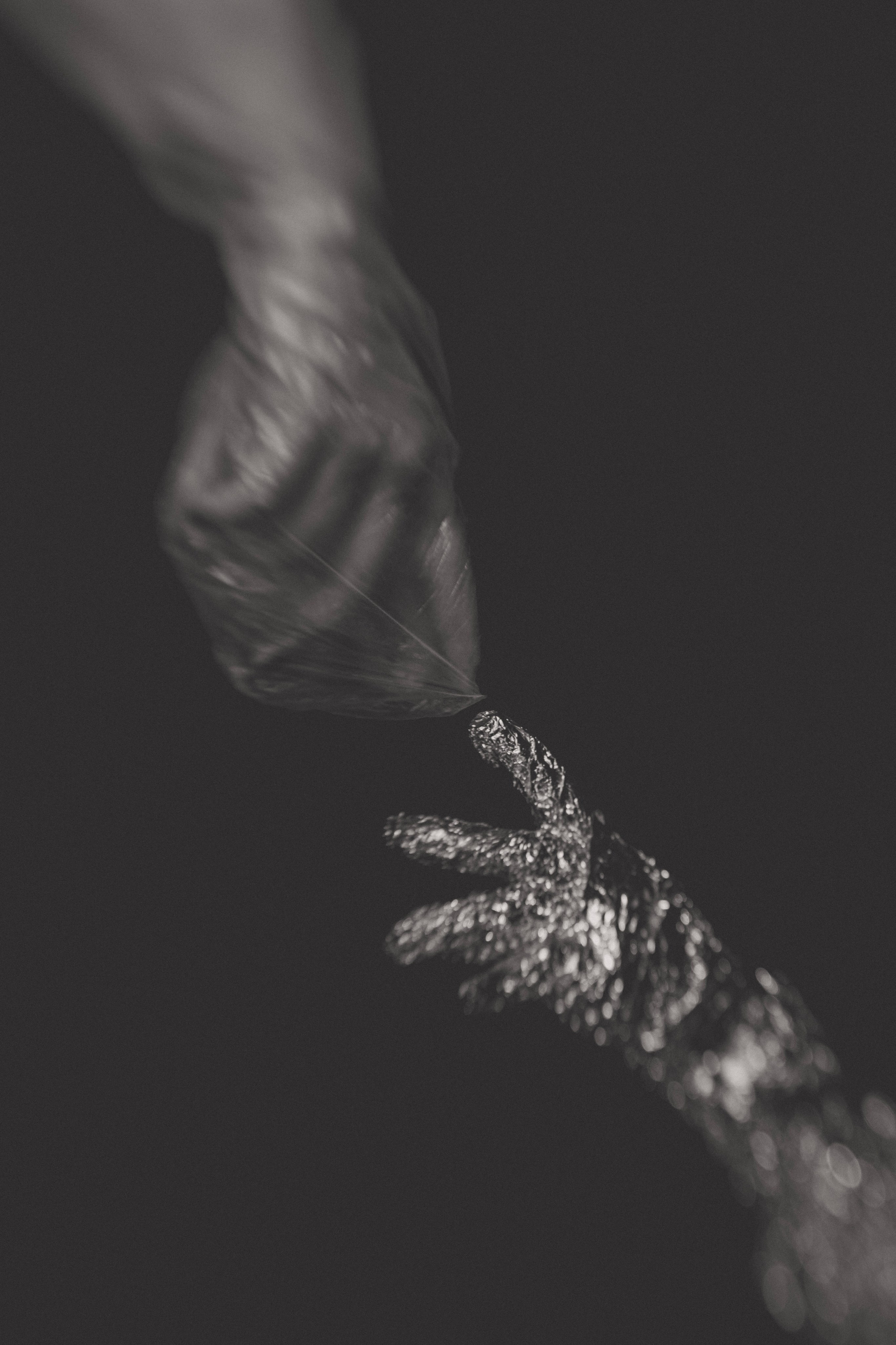 Портфолио. Фотограф в Нефтеюганске