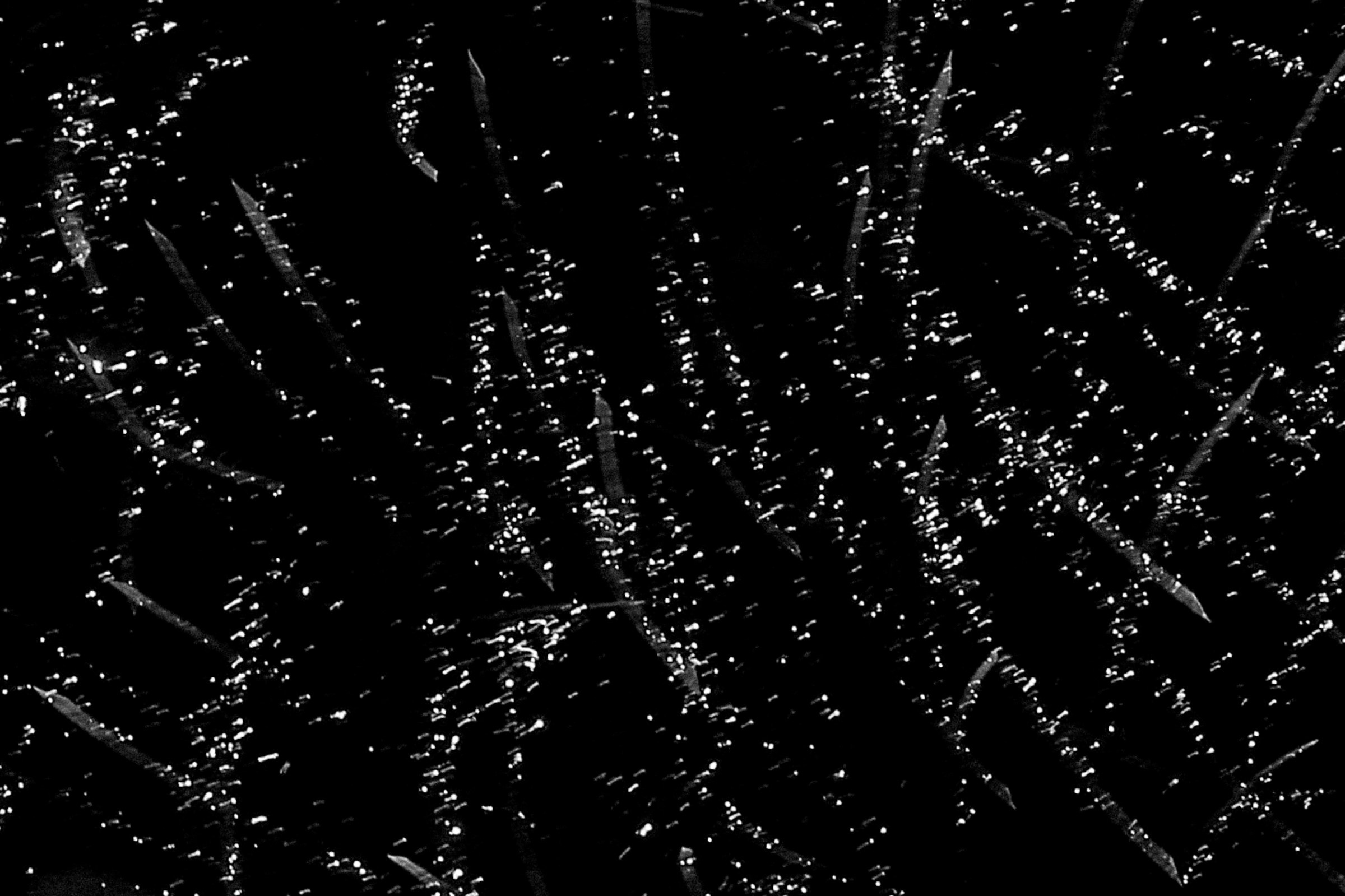 Свадебный фотограф в Италии. Свадебный и семейный фотограф Москва, Спб, Крым Игорь Сазонов