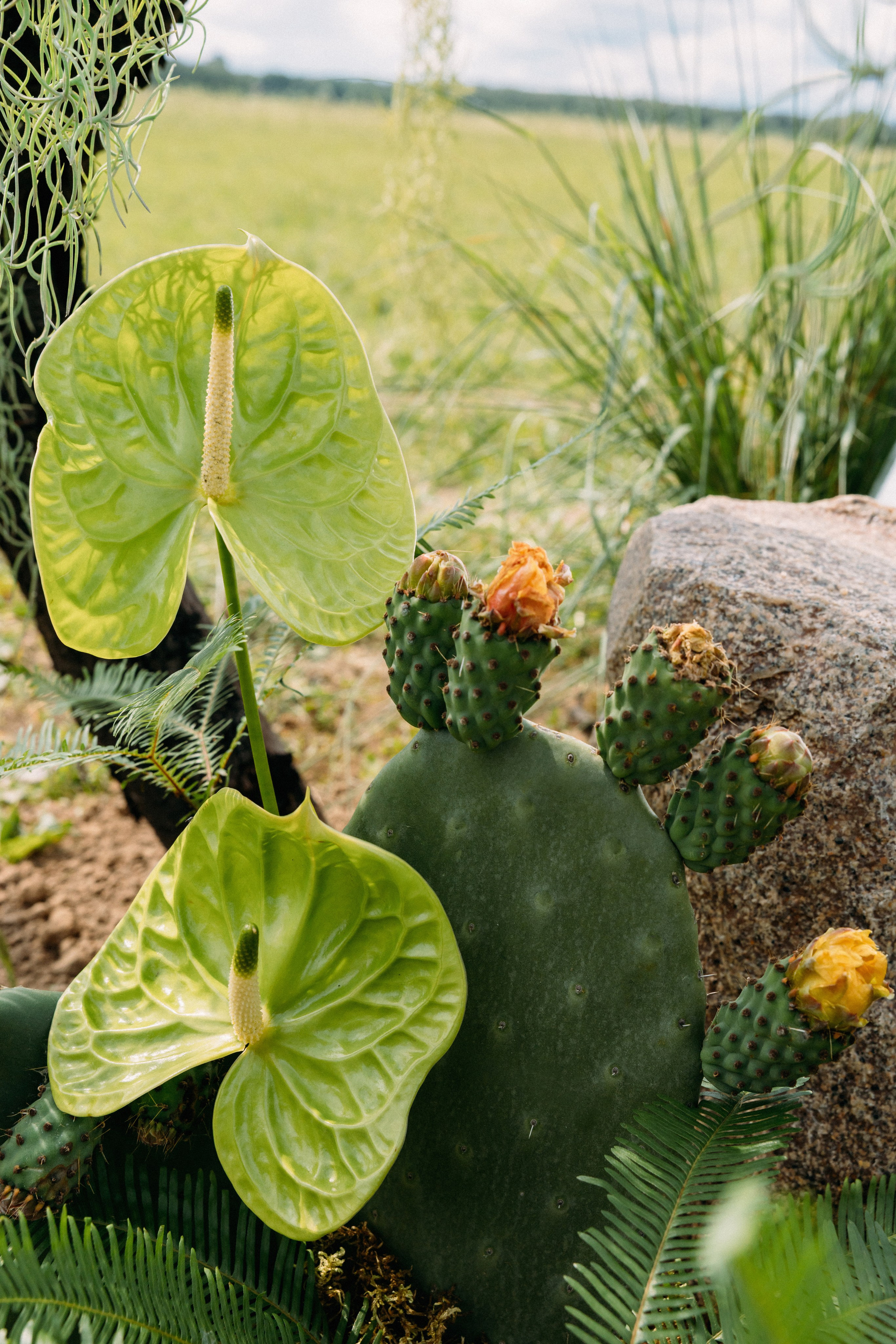 @avtors.agency. Свадебный и репортажный фотограф в Москве Владимир Сергеев | Naysaikolo