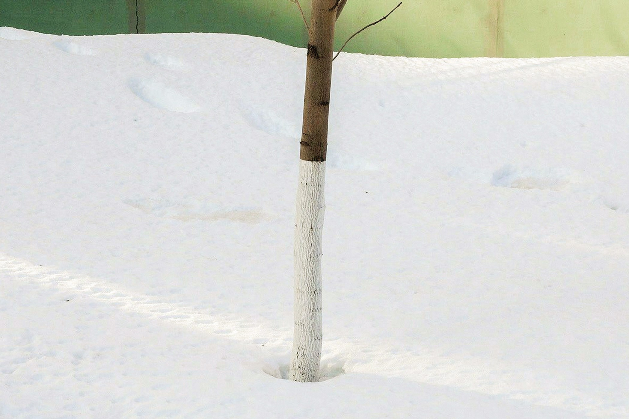 Симуляторы (Каталог № 2). Главная