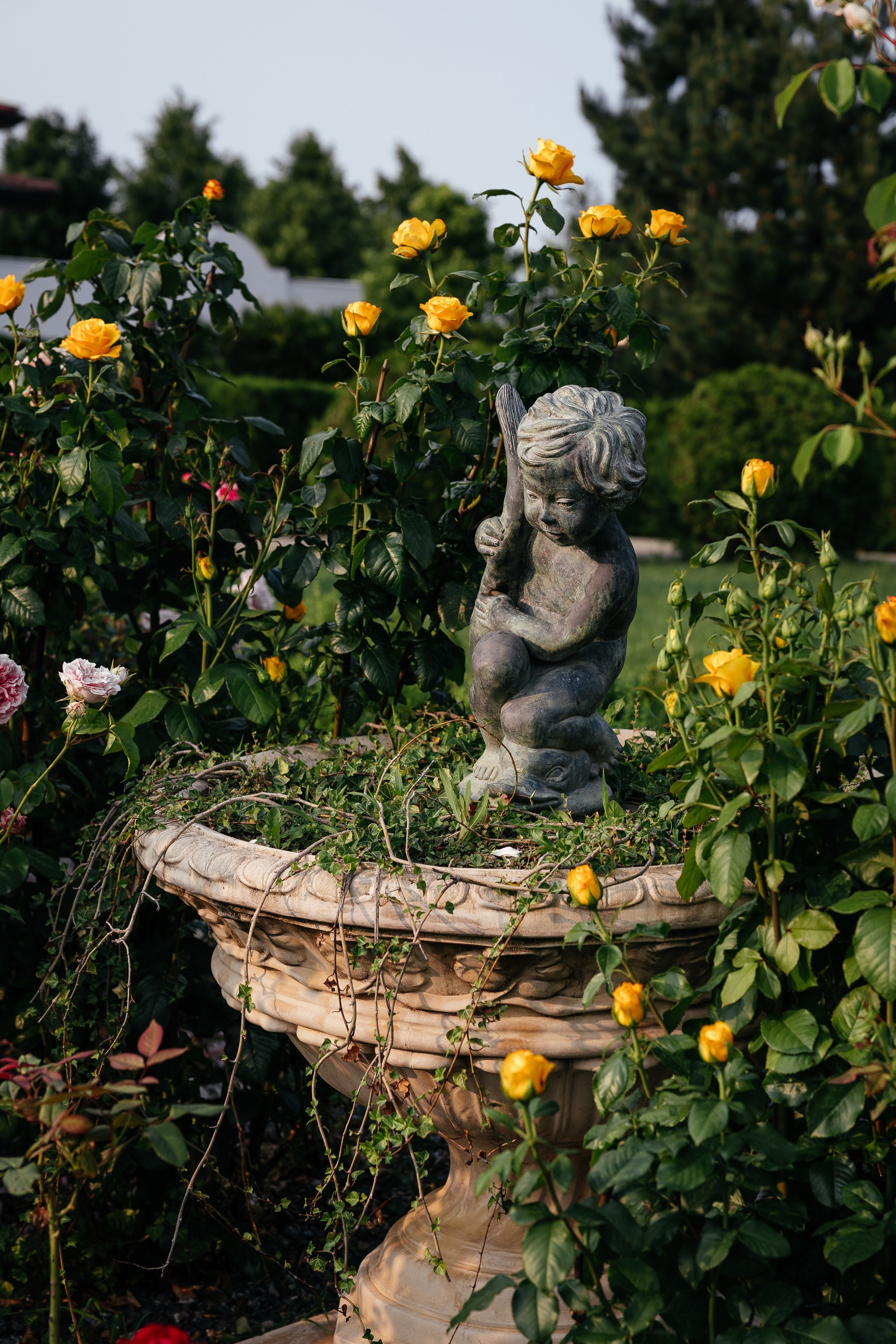 Pastoral. Репортажный и свадебный фотограф в Краснодаре Владислав Рыжов