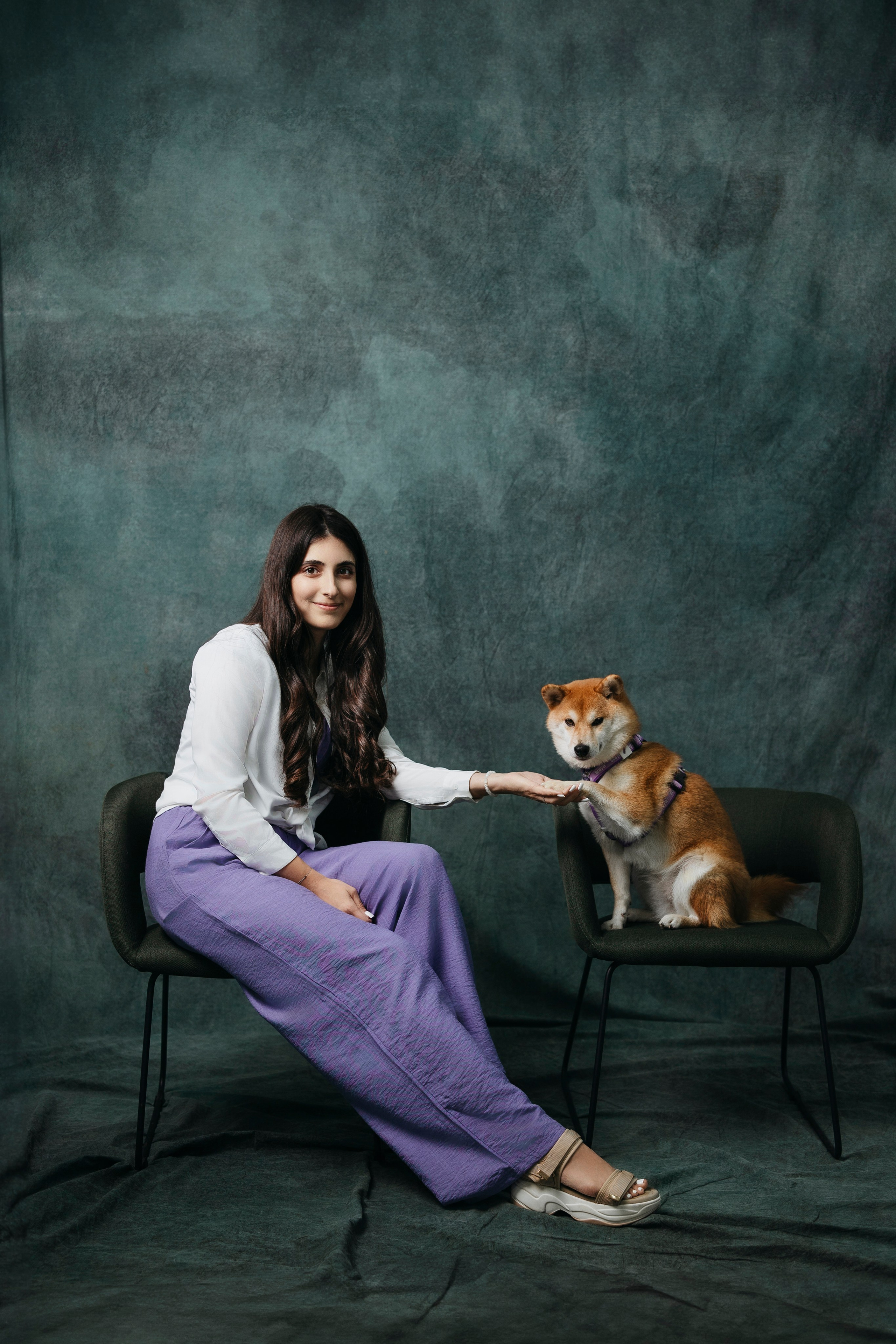 Съемка в студии с собакой. Анастасия Белаш