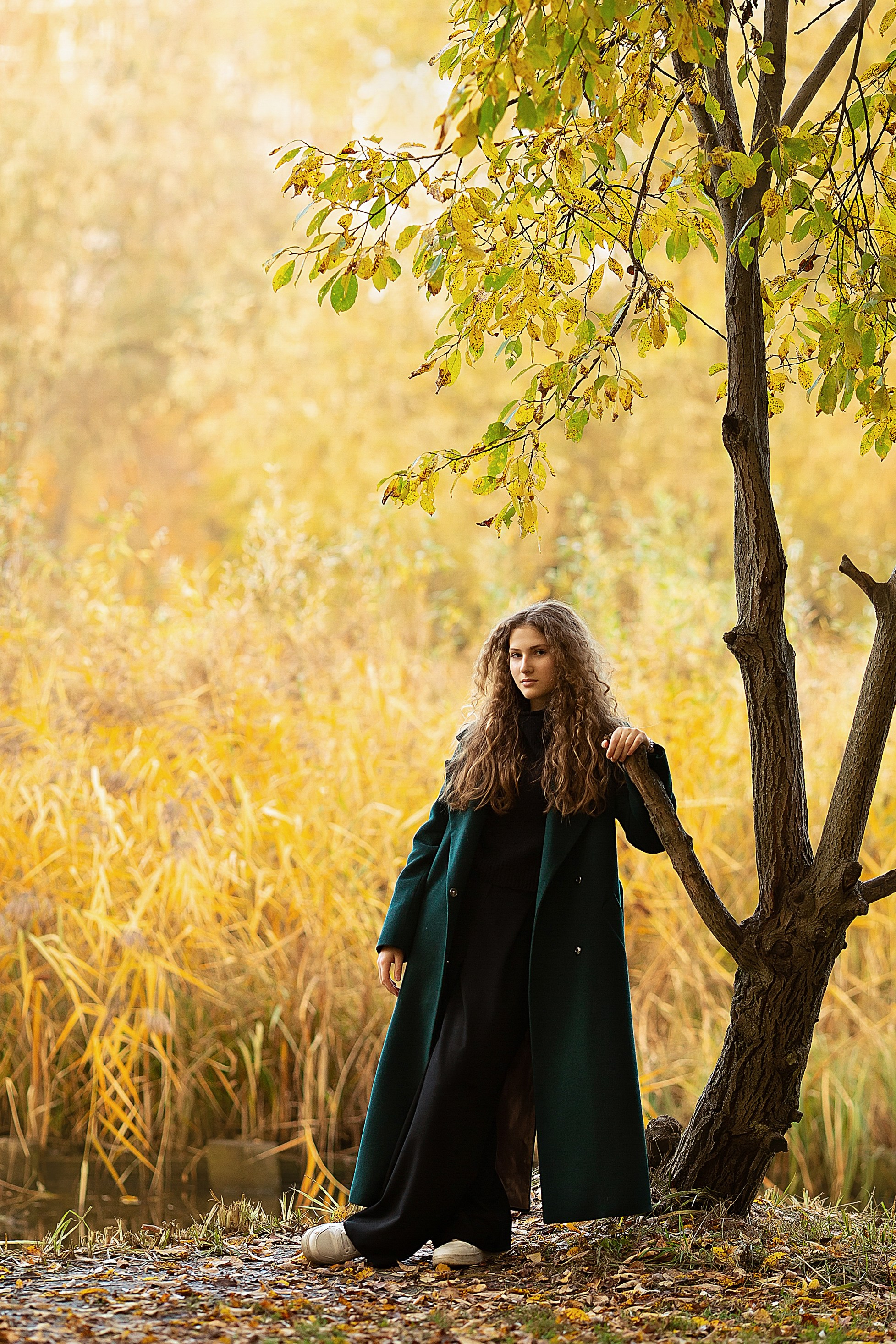 Осенняя гармония: Лиза и природа. Главная