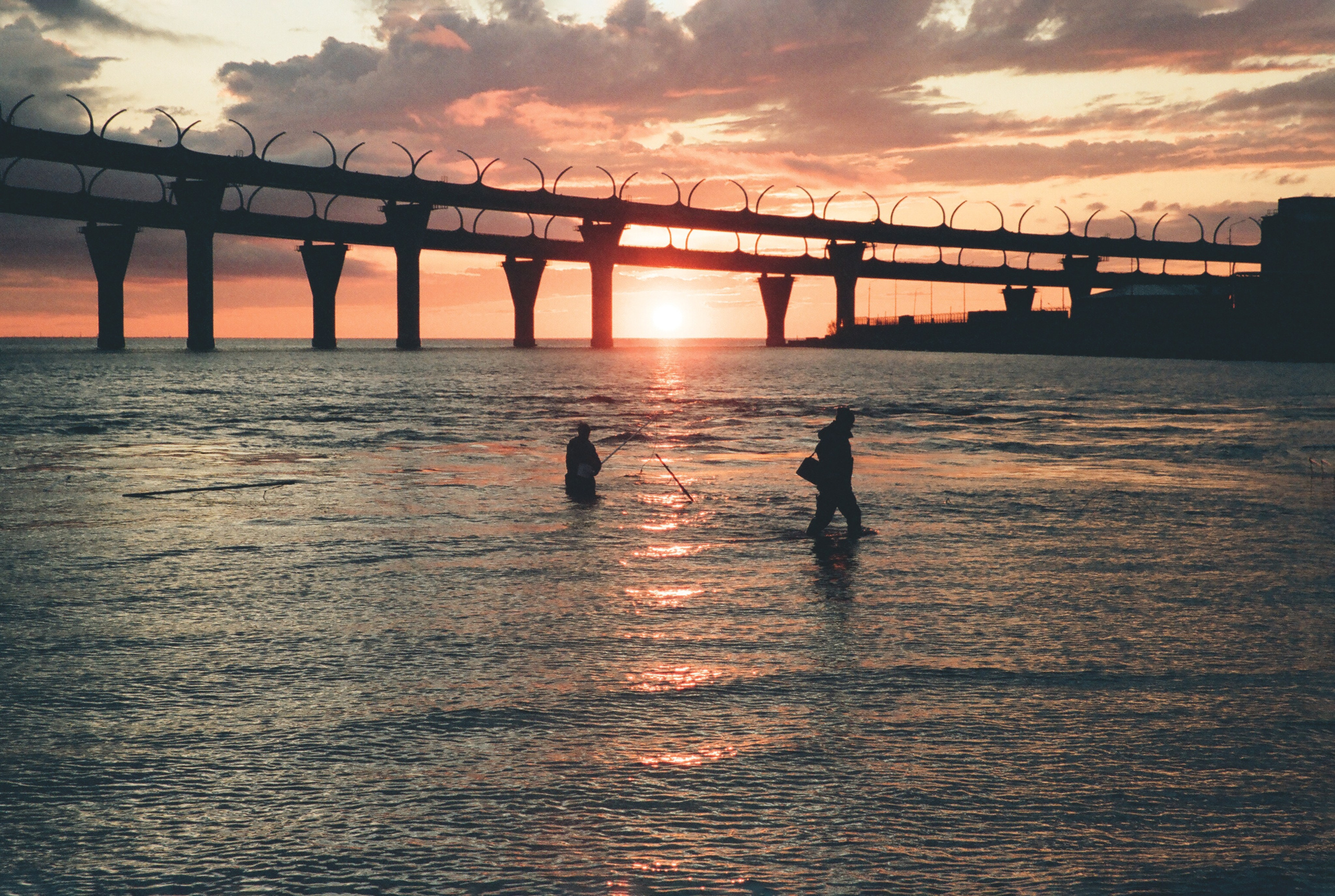 Фотографии цветные. Свадебный и семейный пленочный фотограф в Петербурге Истомина Ирина