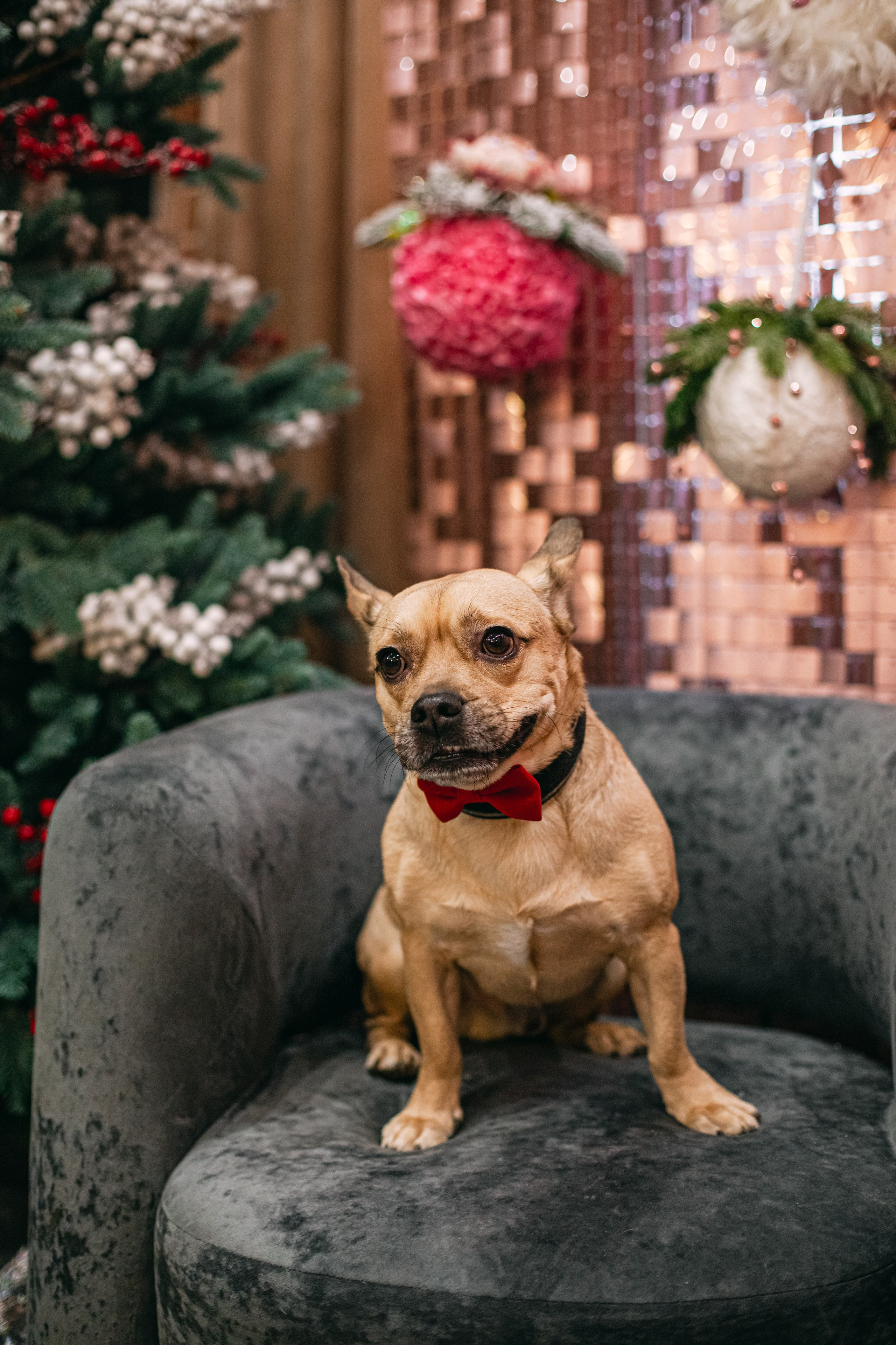 Бульёлка 2024. Фотограф-анималист Татьяна Степанова