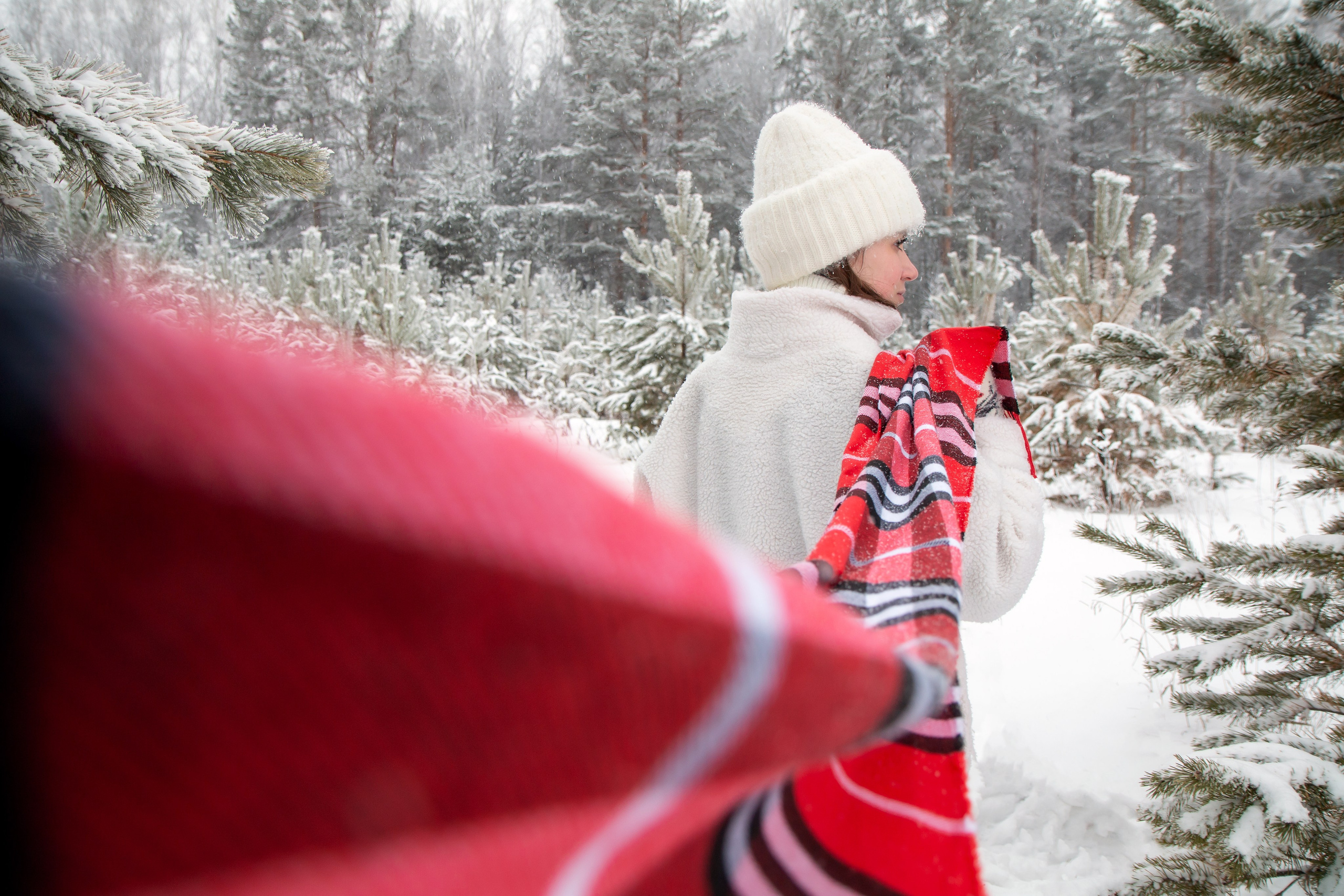 Дарья. В зимнем лесу