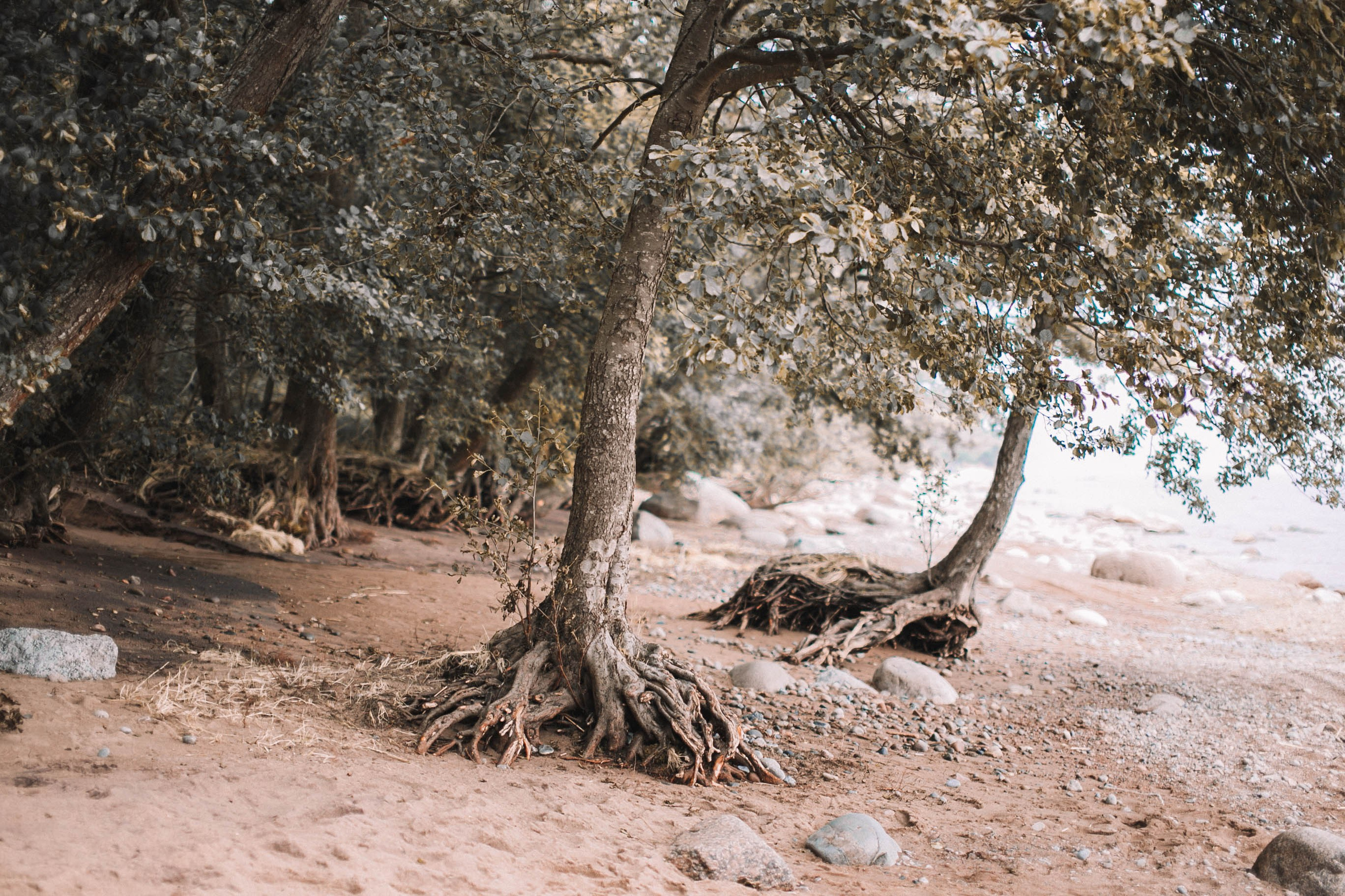 Море. Главная