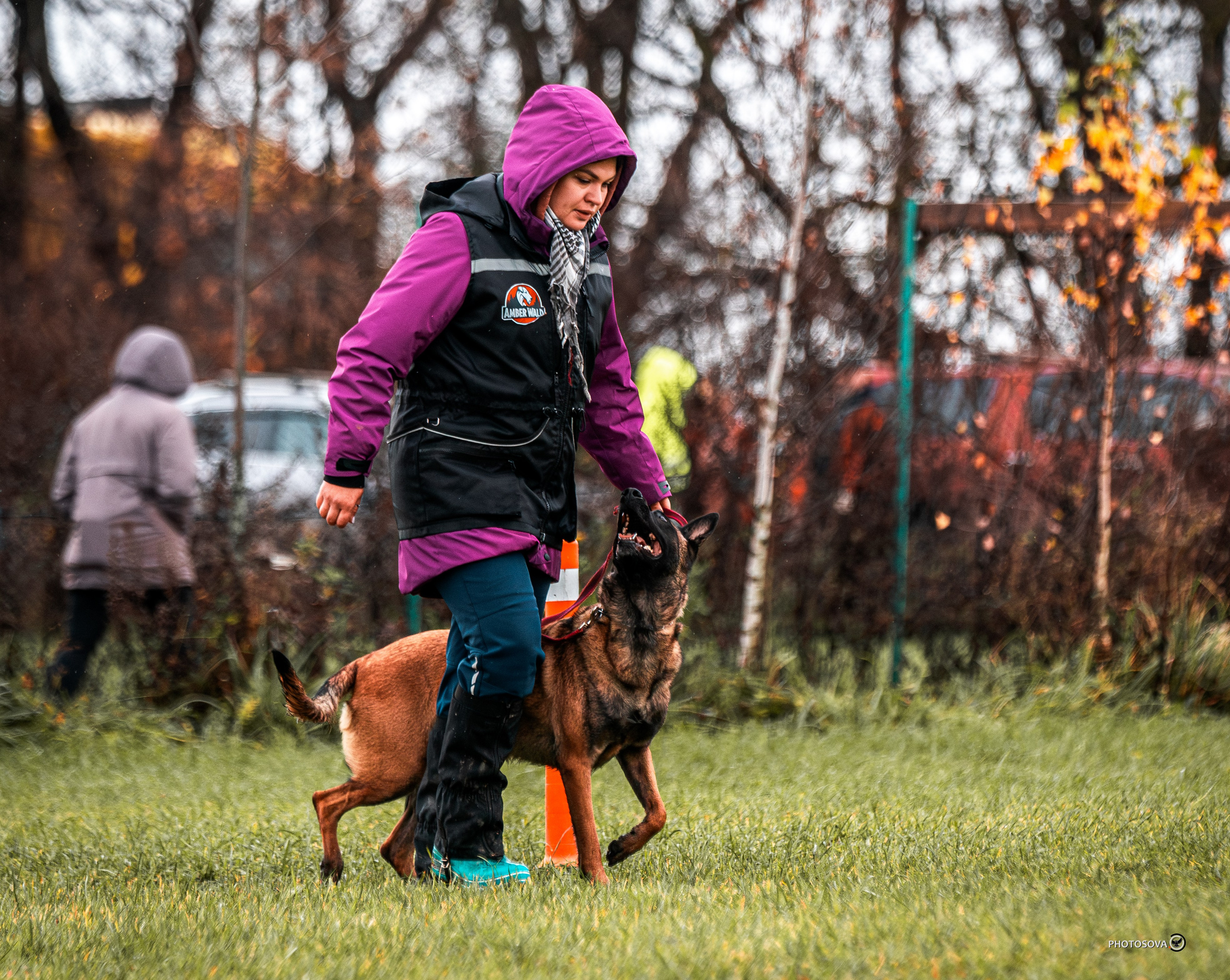 МЫ — КОМАНДА (соревнования) OKD, BH, IBGH, IGP. Фотограф-анималист, семейный фотограф в Москве и Подмосковье. Фотосъёмка кинологических дисциплин
