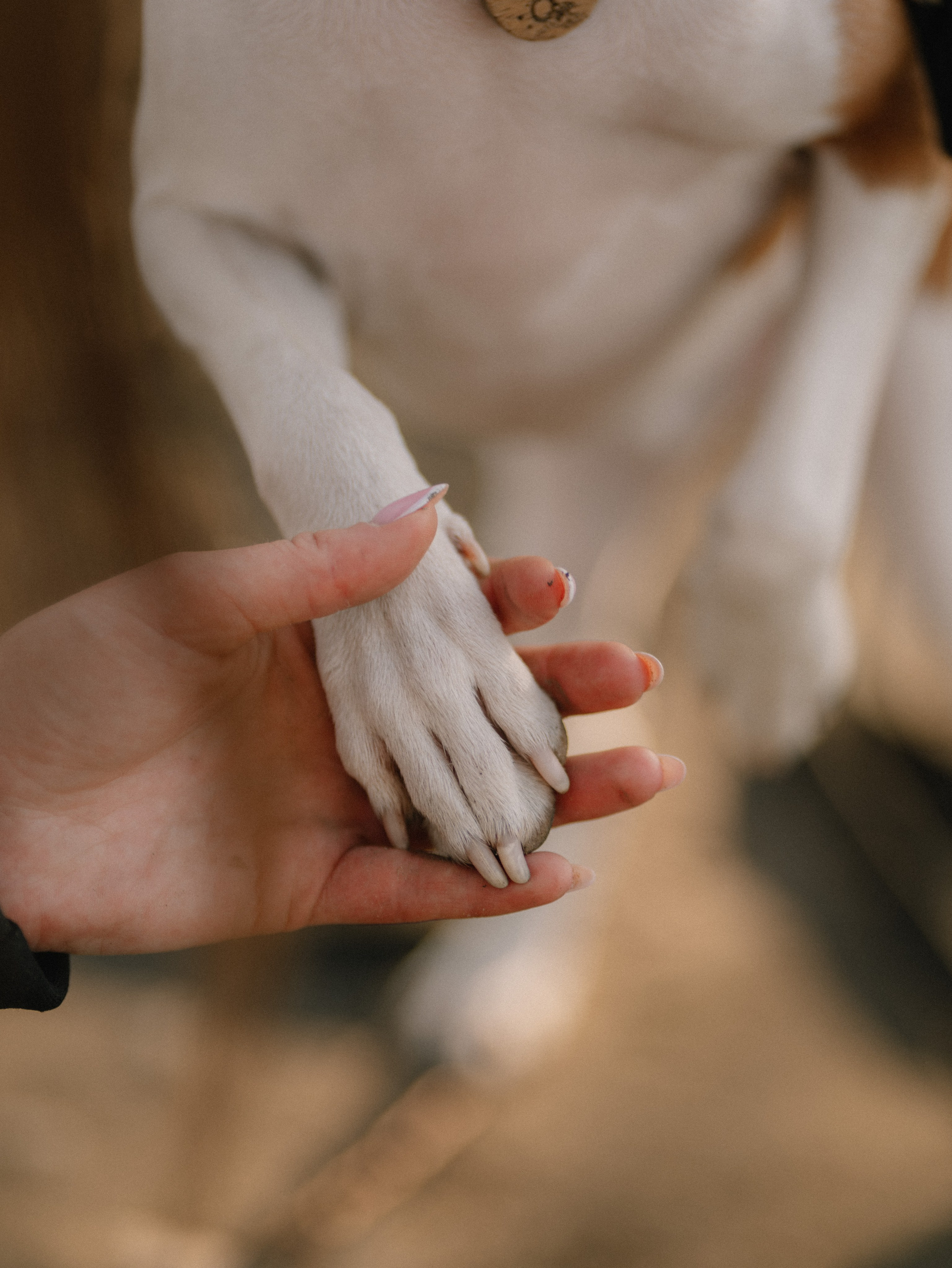 Маша и Хьюстон. Фотограф Ника Лиепа