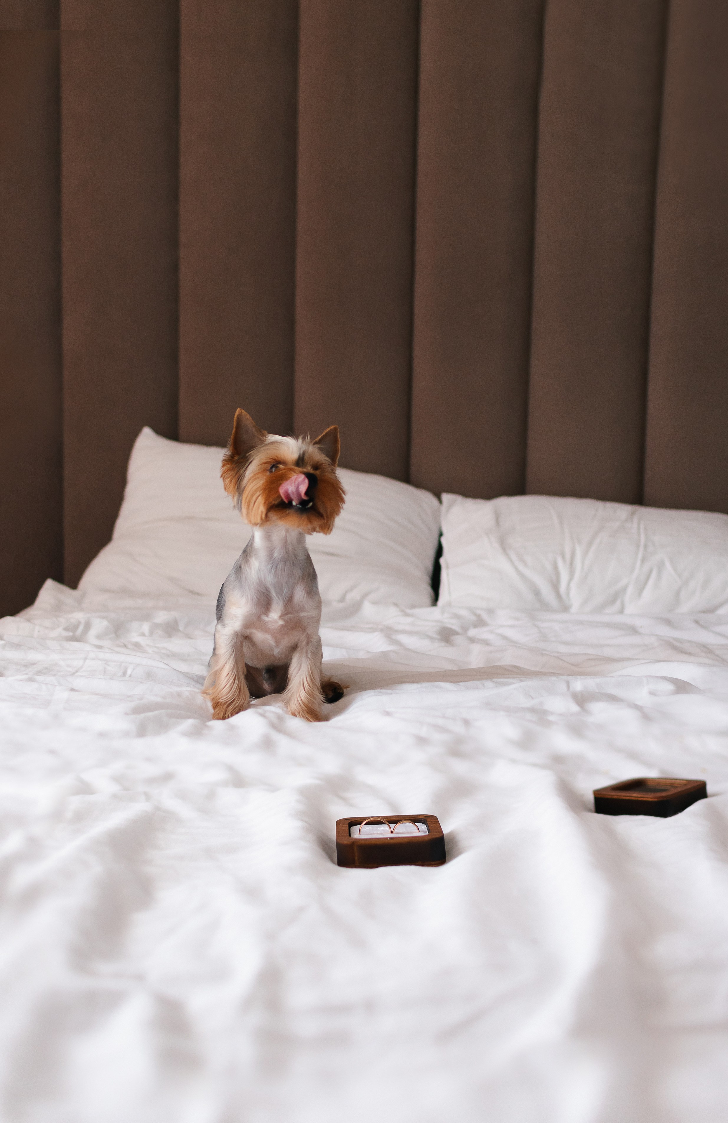 Настя и Кирилл. Фотограф Юлия Обрезкова Нижний Новгород