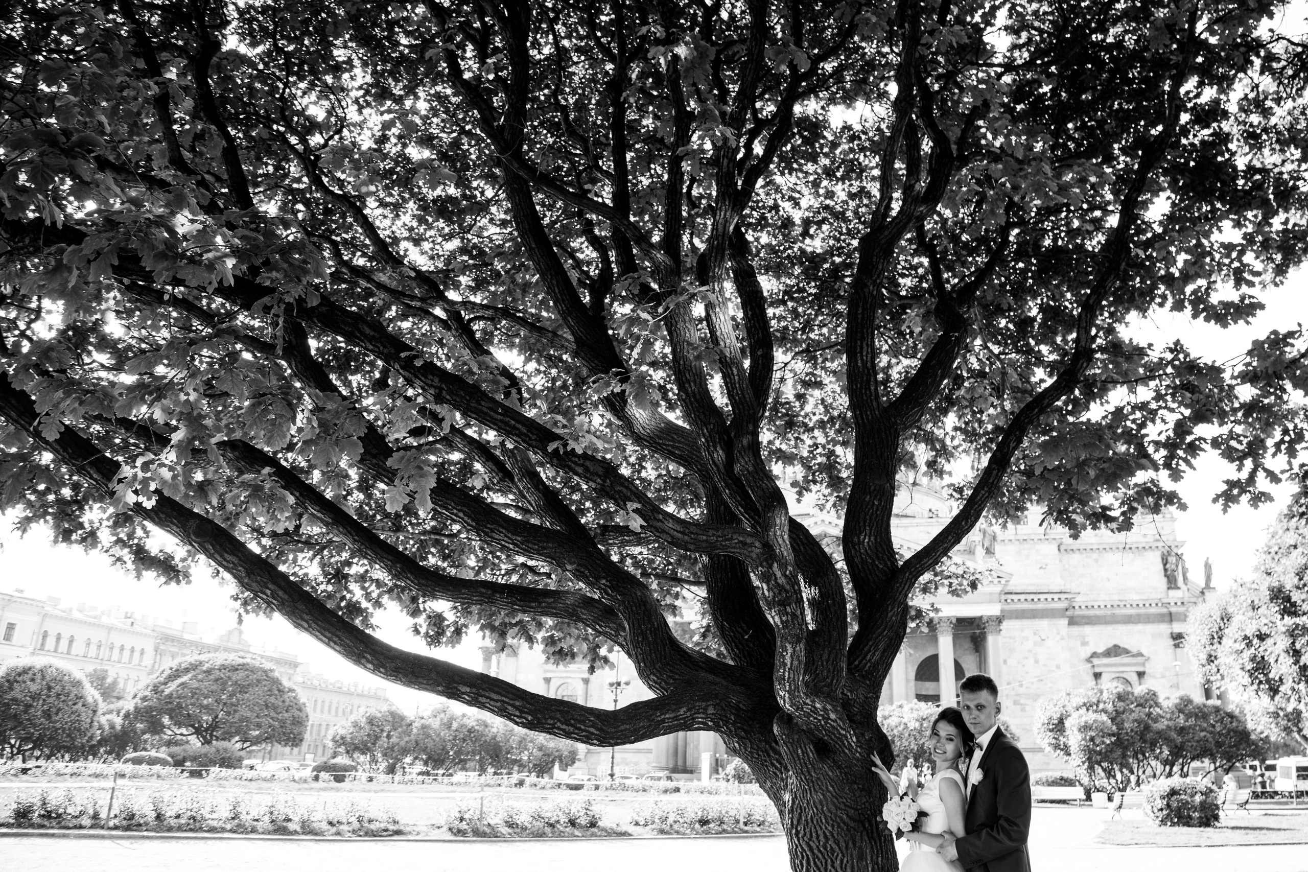 Алёна и Сергей. Свадебный фотограф в Санкт-Петербурге Трофимова Алена