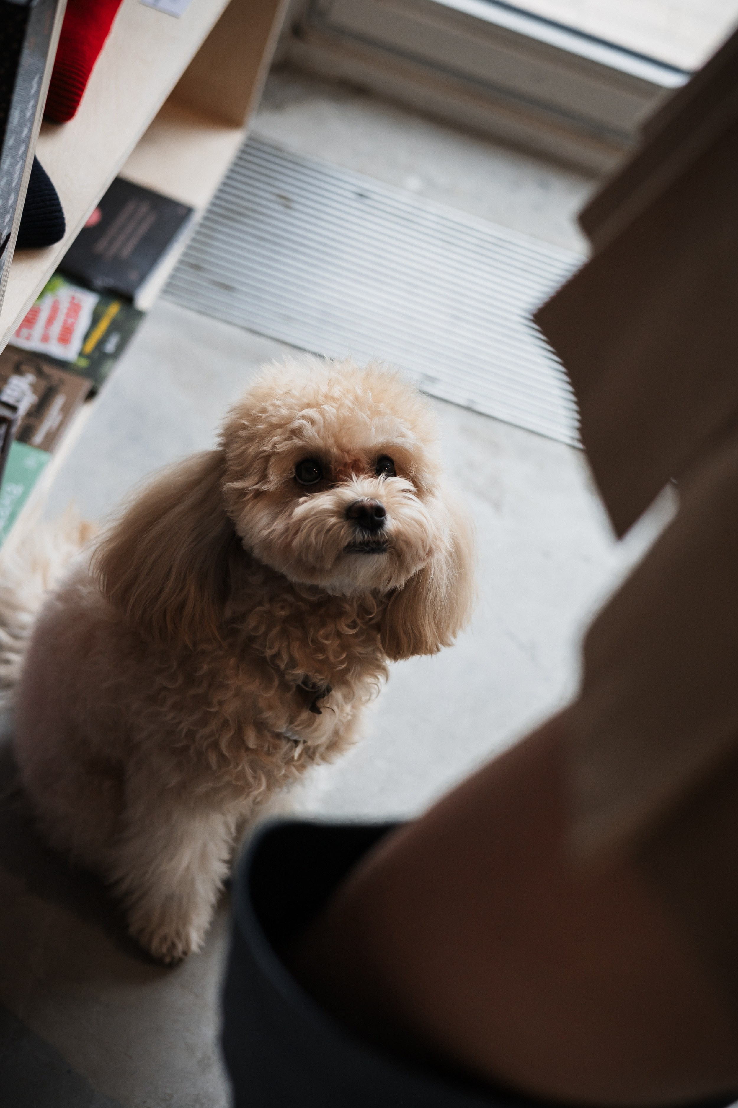 Алина — прогулка