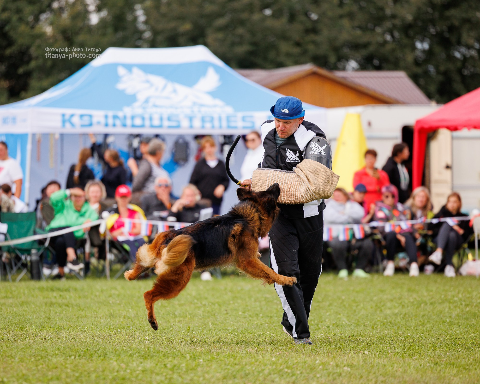 Немецкие овчарки: фото из рингов и вне ринга, мутпроба (фотографии с выставок). Фотограф собак, фотограф-анималист Аня Титова (Titanya). Москва