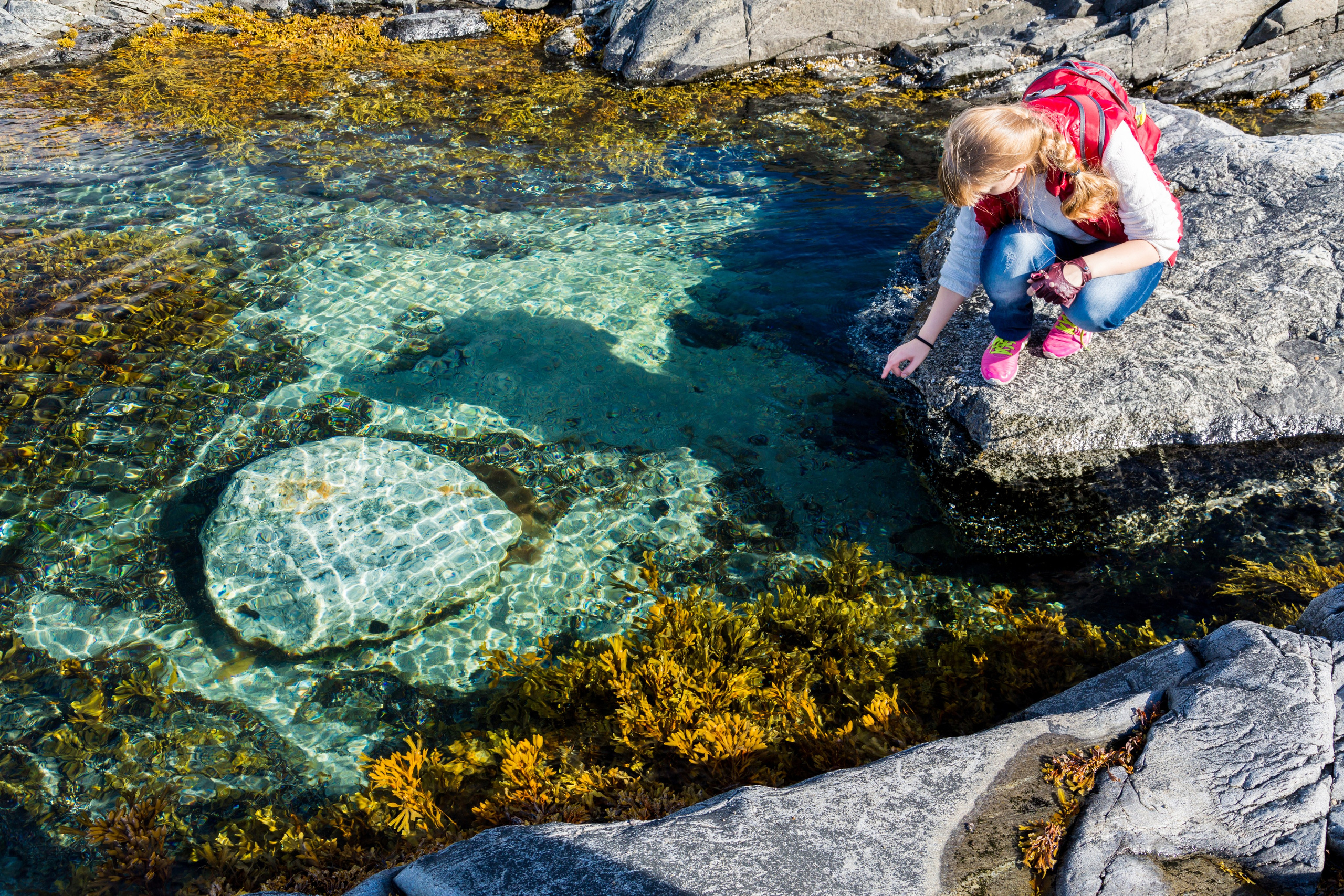 Баренцево море. Пейзажи Крайнего Севера. Баренцево море, Рыбачий, Средний, Немецкий