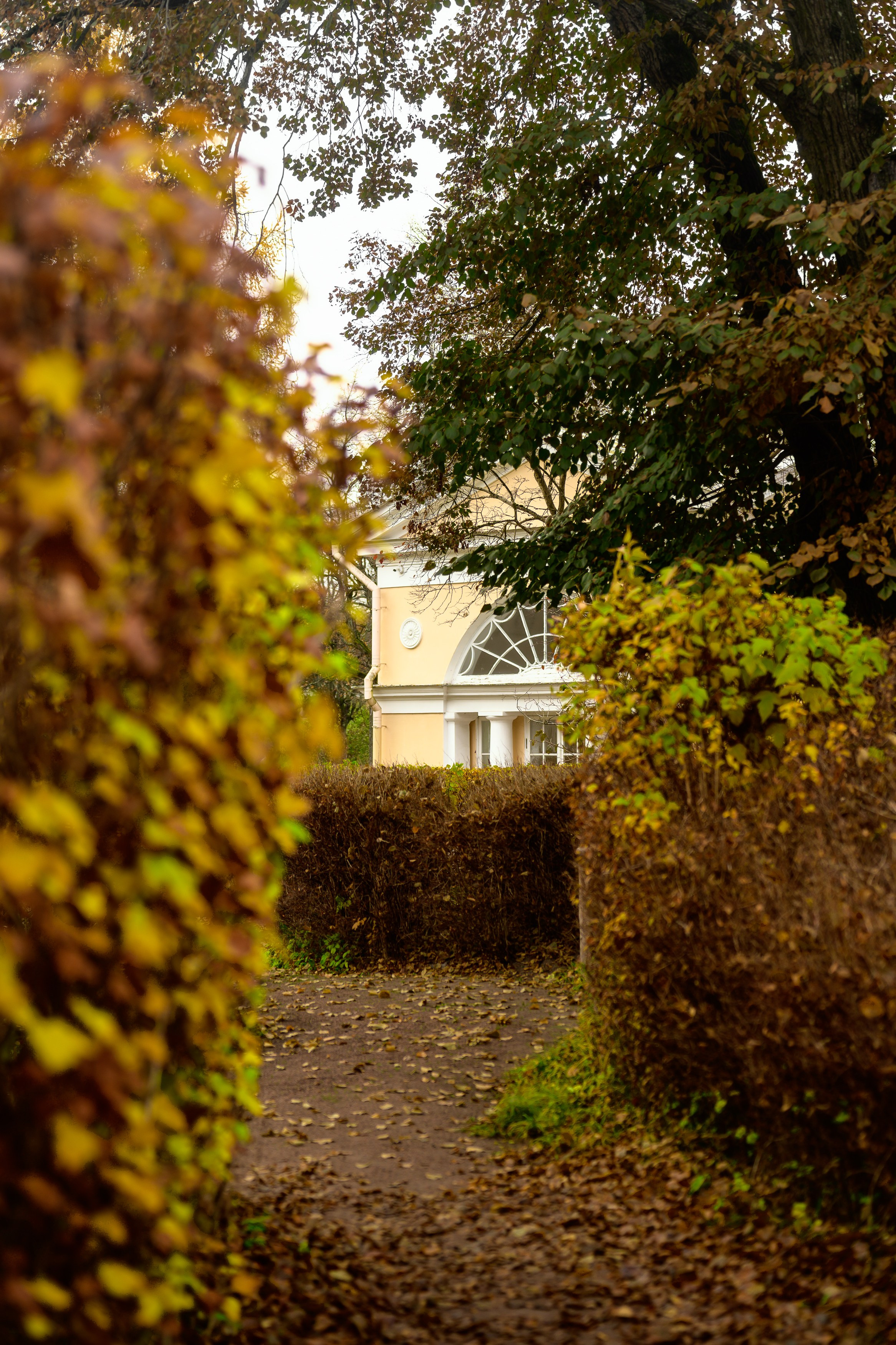 SAINT PETERSBURG | SUBURBS. Personal website of photographer Dmitry Raikin