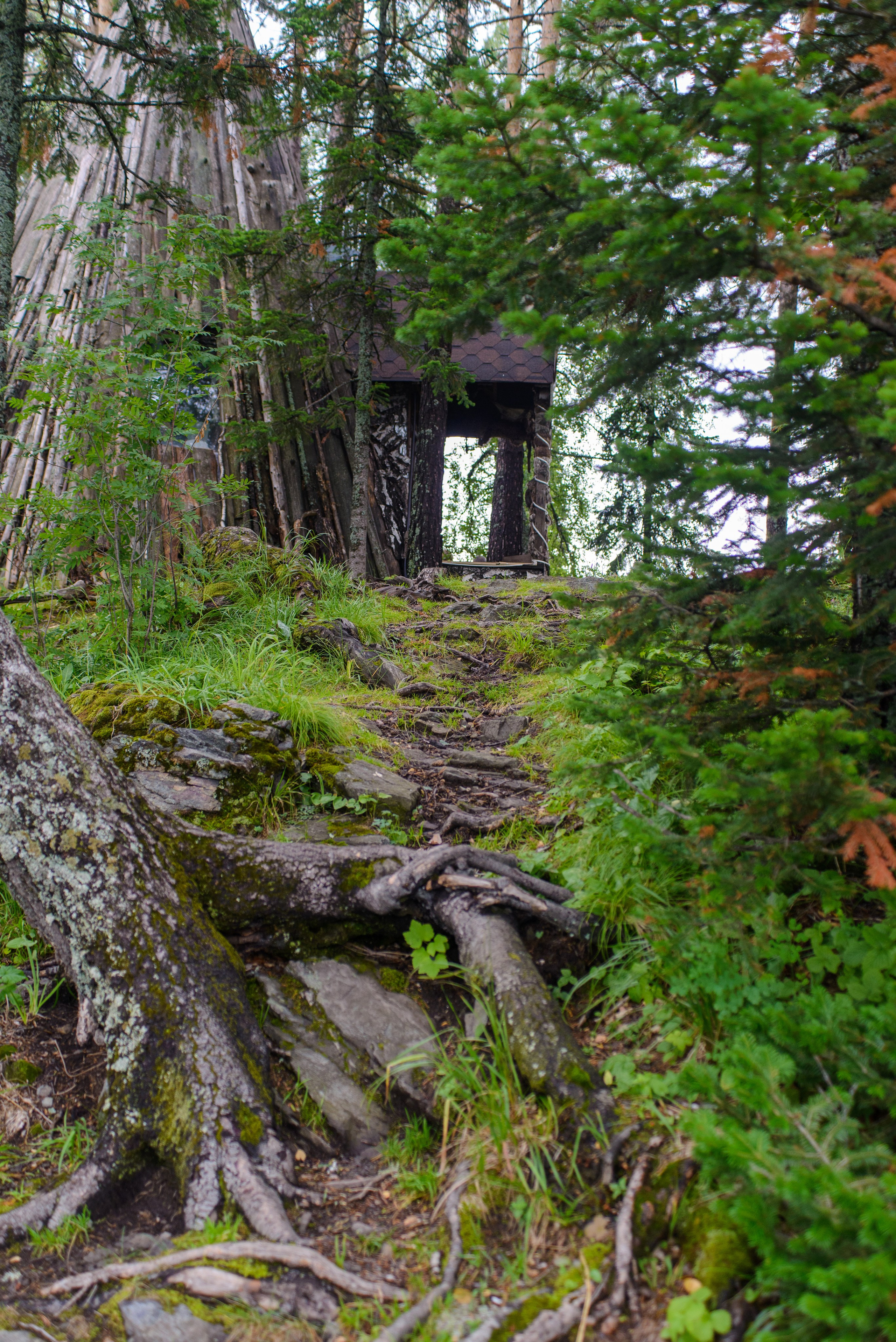 Природа. Фотограф в городе Омске Константин Зоткин