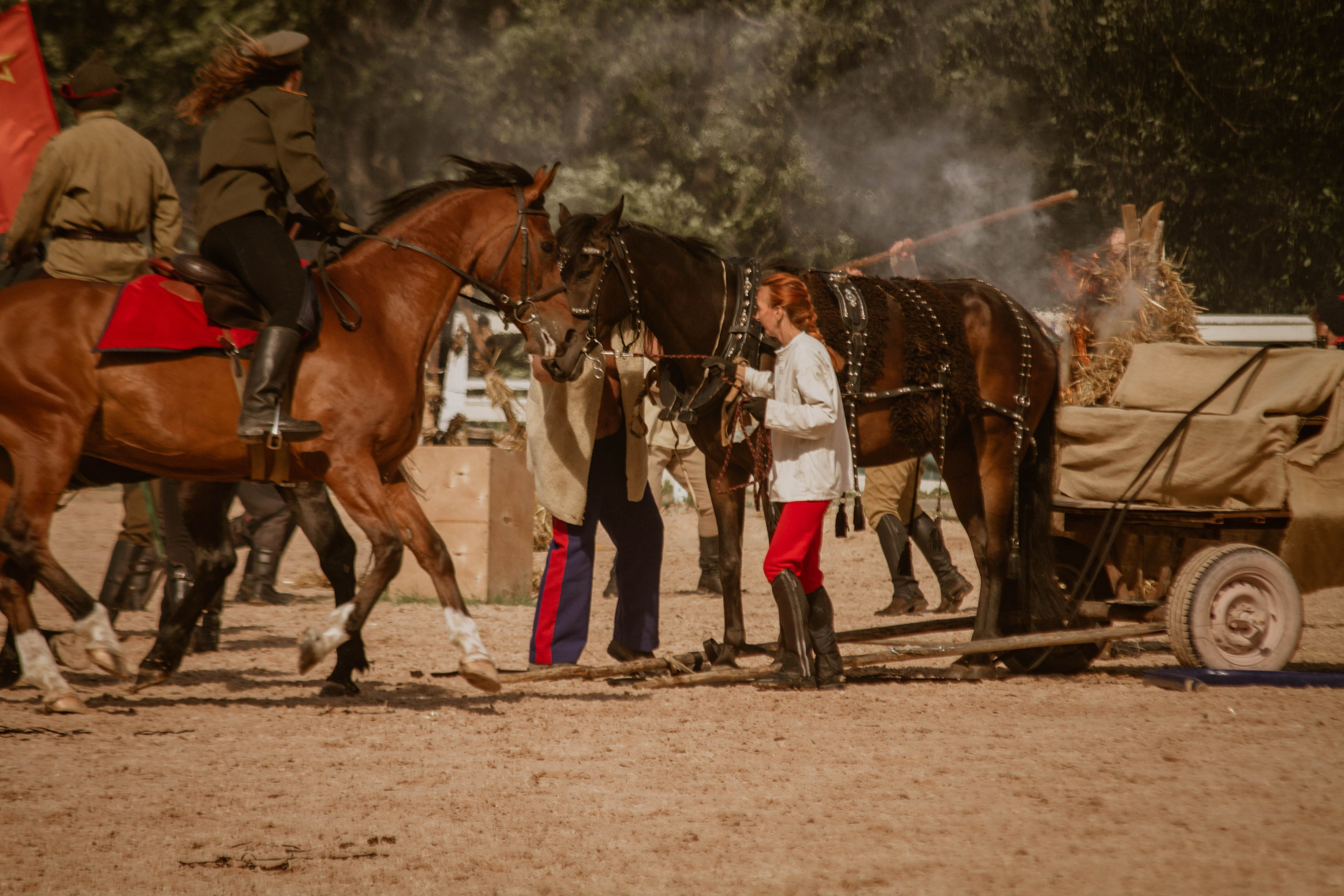 ИППОСФЕРА — Международная конная выставка. Создадим шедевр? Виталина и её фотоискусство