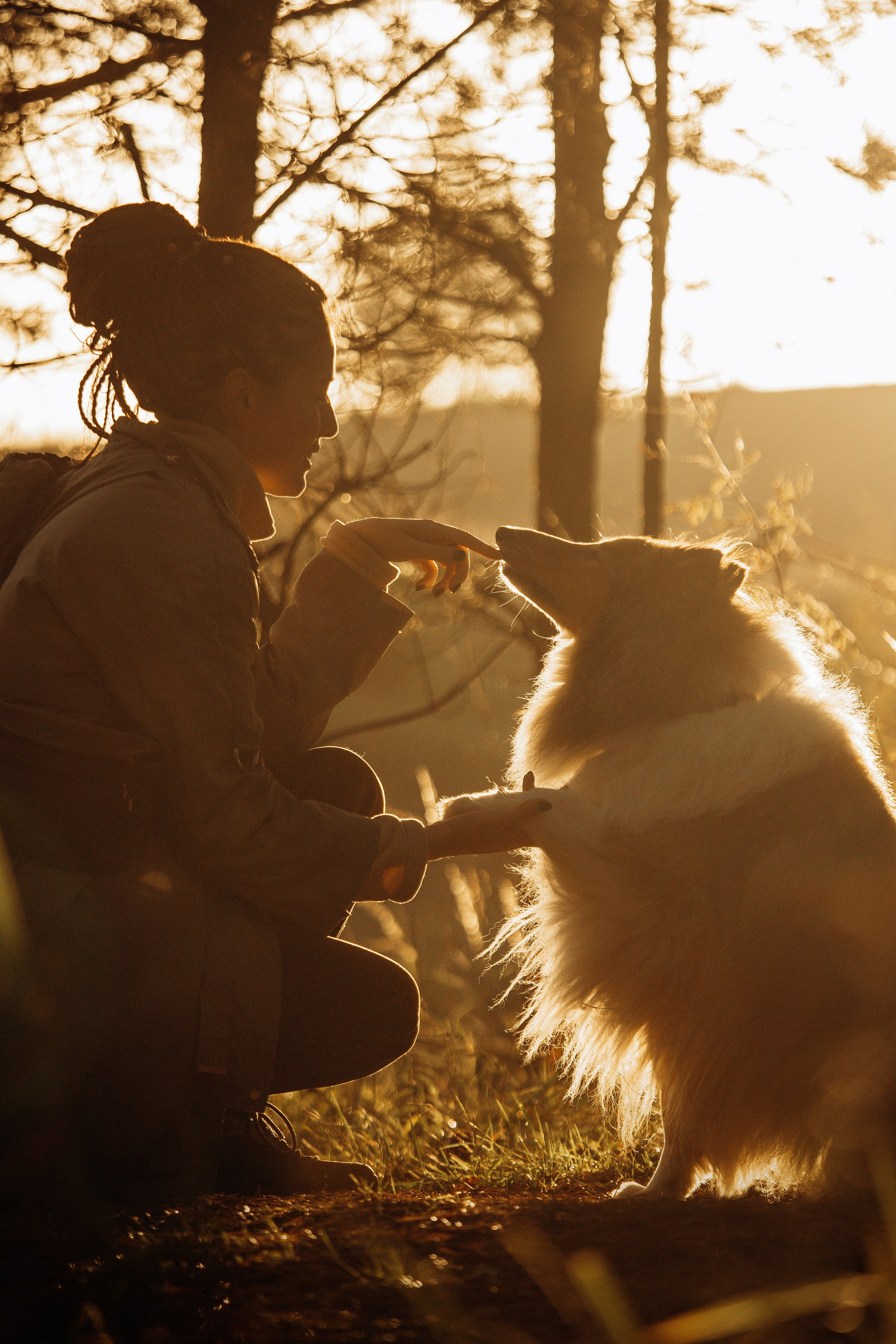 Трисс, Эста, Яся и их семья. Фотограф — Анималист | Санкт-Петербург