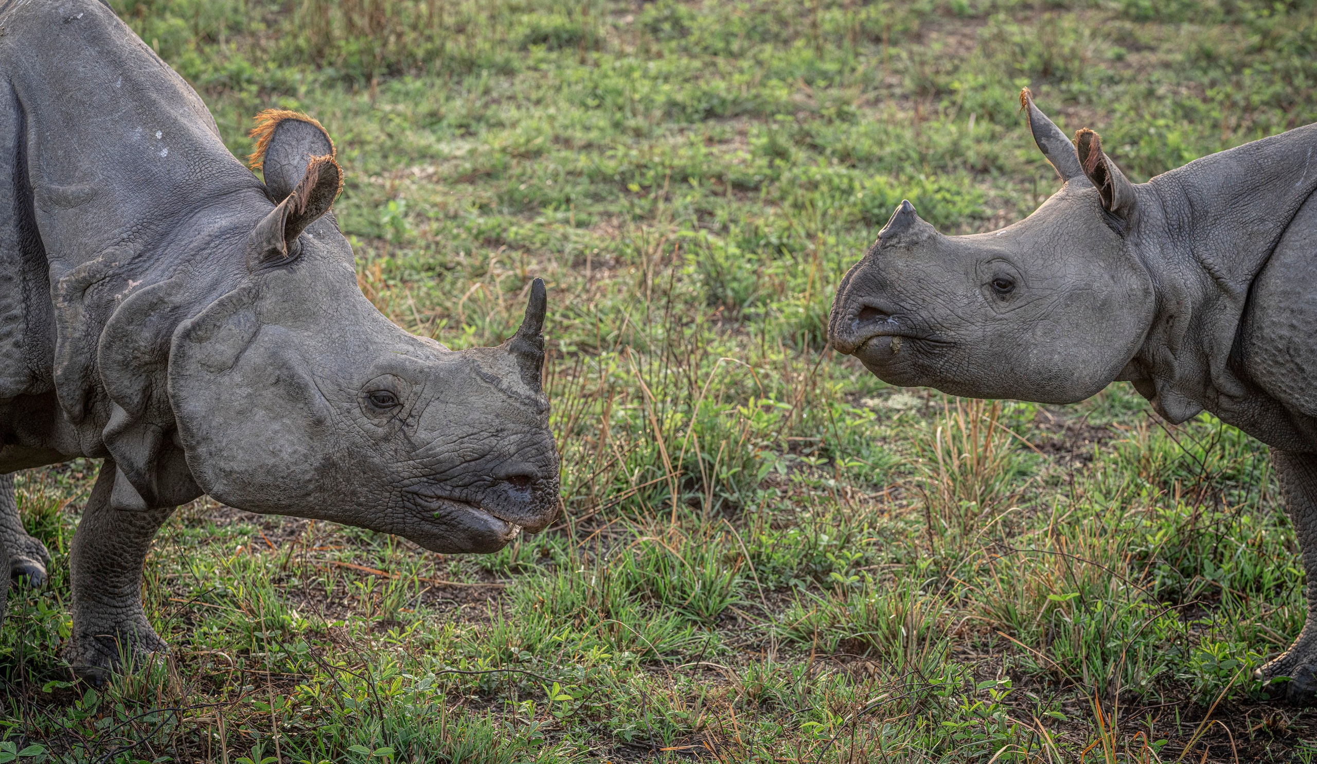 India travel. Фотограф Сергей Танков