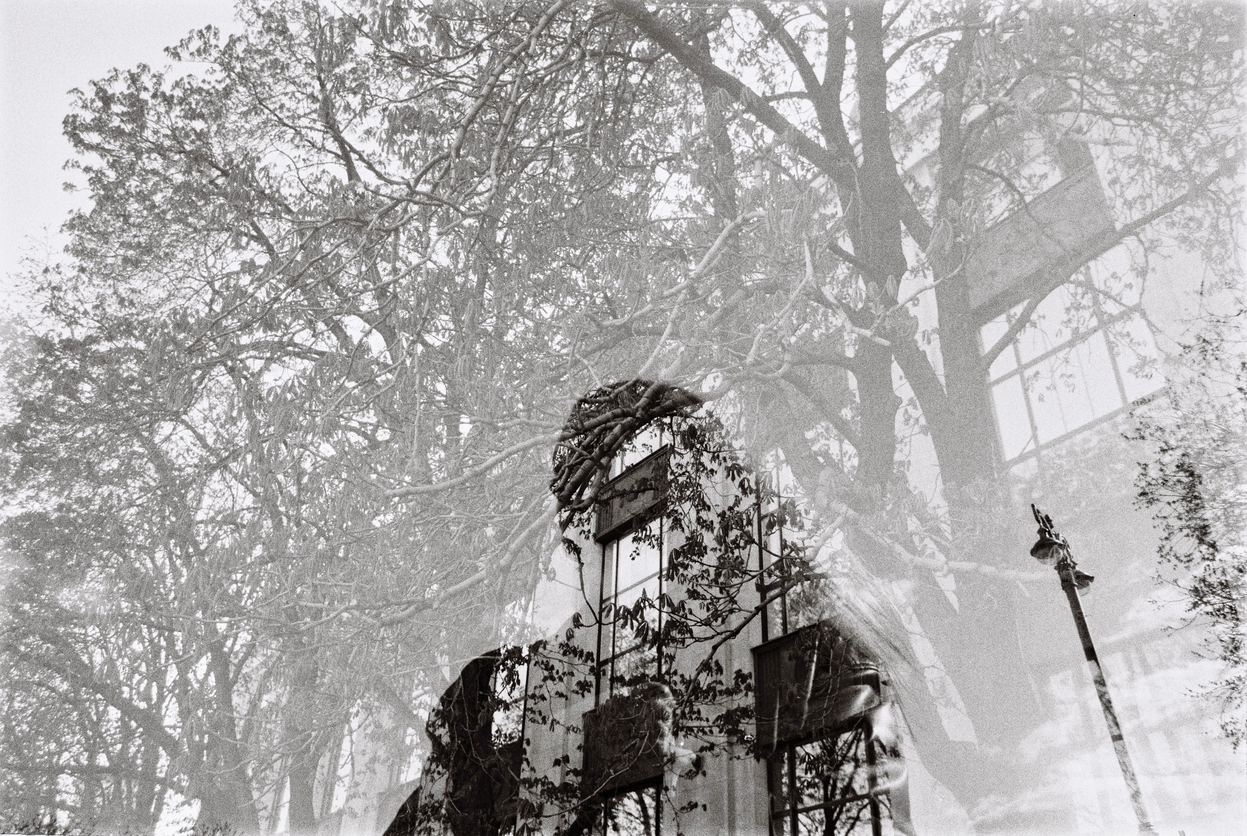 Faces. TATIANA DARINA — film photographer in St. Petersburg