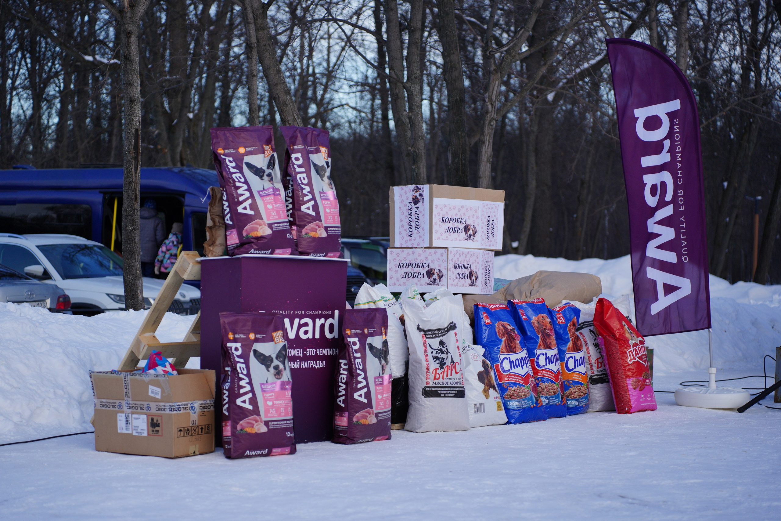 Благотворительная Акция «Ищу Человека». Pupov.png