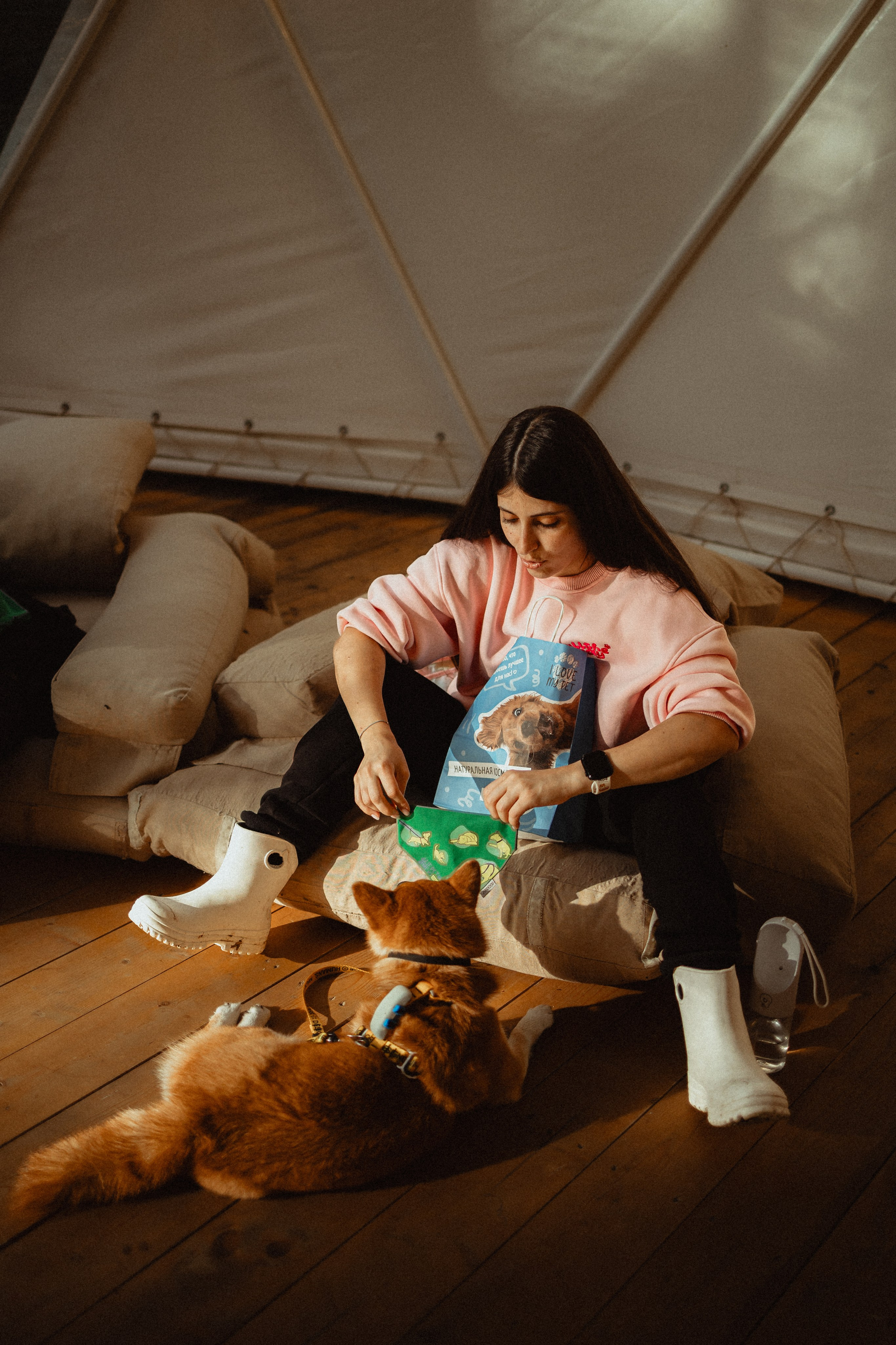 Выездной дог-тренинг от школы «Шерсть имею»