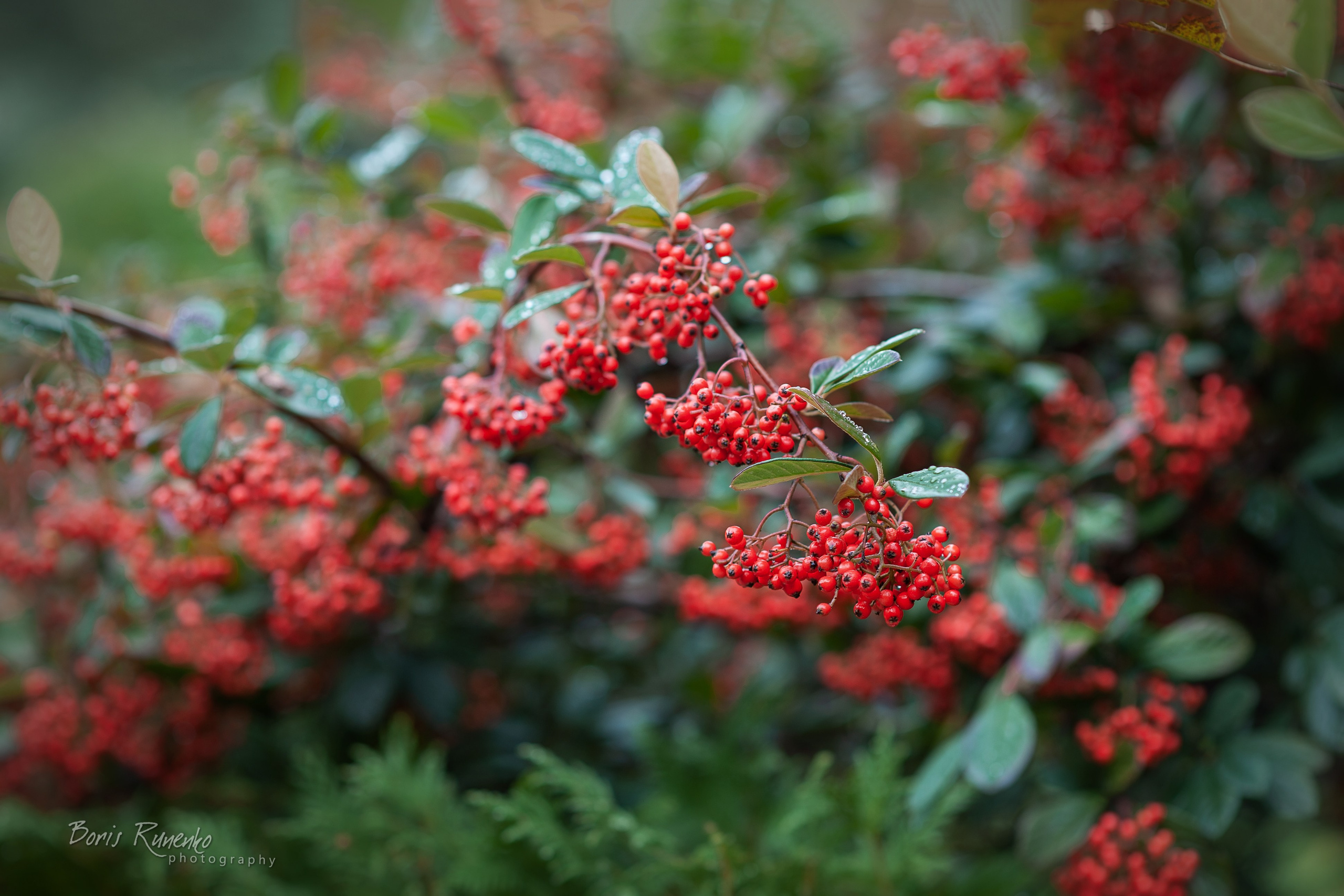 ЧЕРНОМОРСКОЕ ПОБЕРЕЖЬЕ. ОСЕНЬ. Борис Руненко. Пейзажный и travel-фотограф