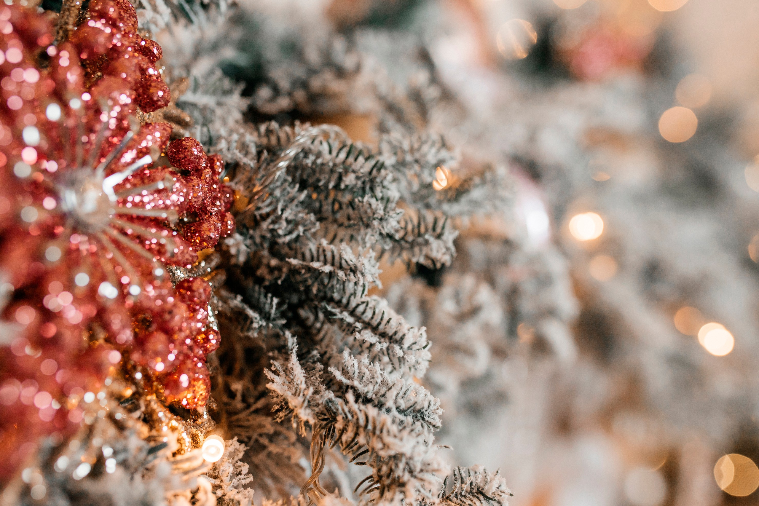 Новогодняя тематика. Команда фотографов Кристины Ивановой