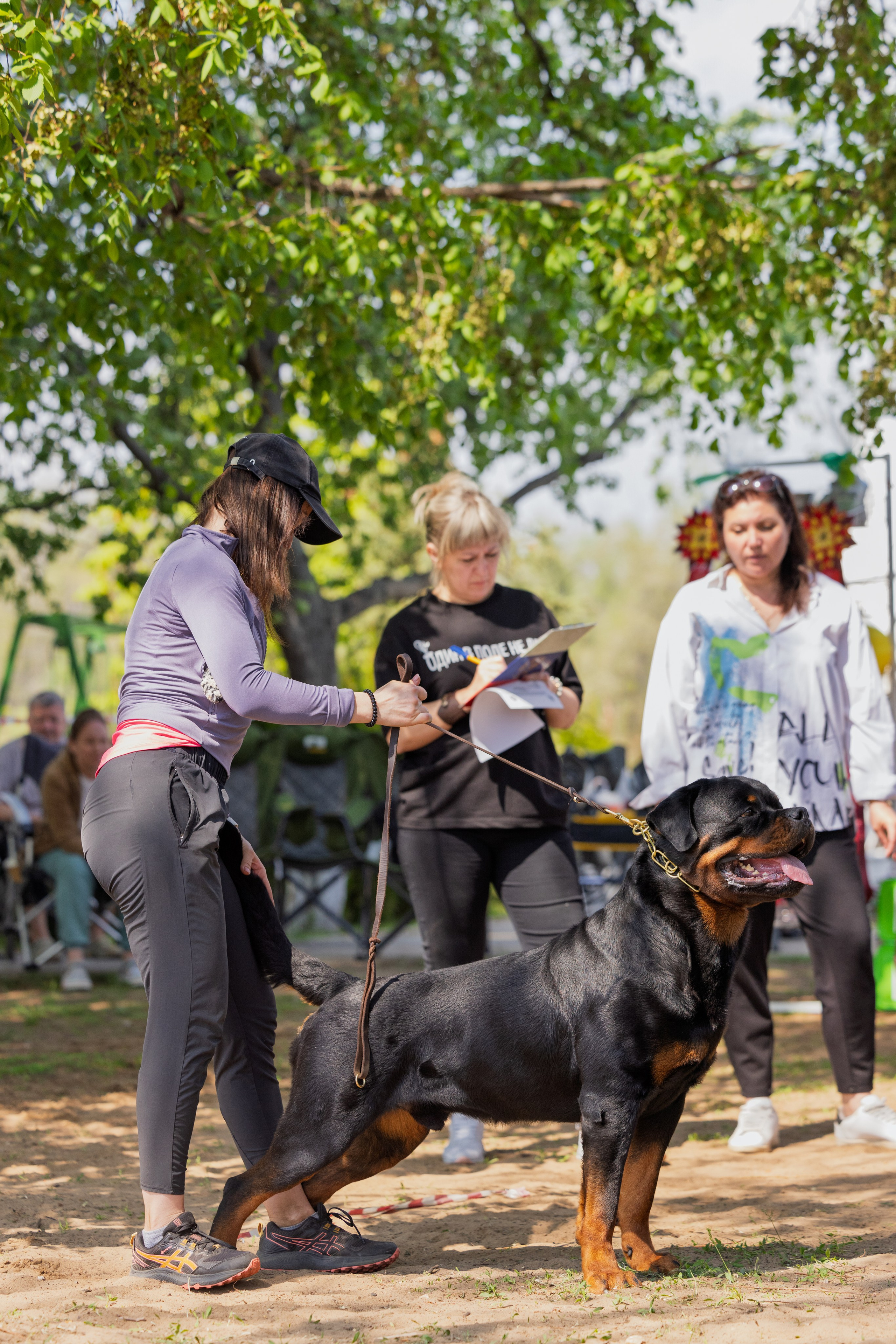 Саратов моно ротвейлеров 26-27.04.2025. Фотограф-анималист Юлия Германика