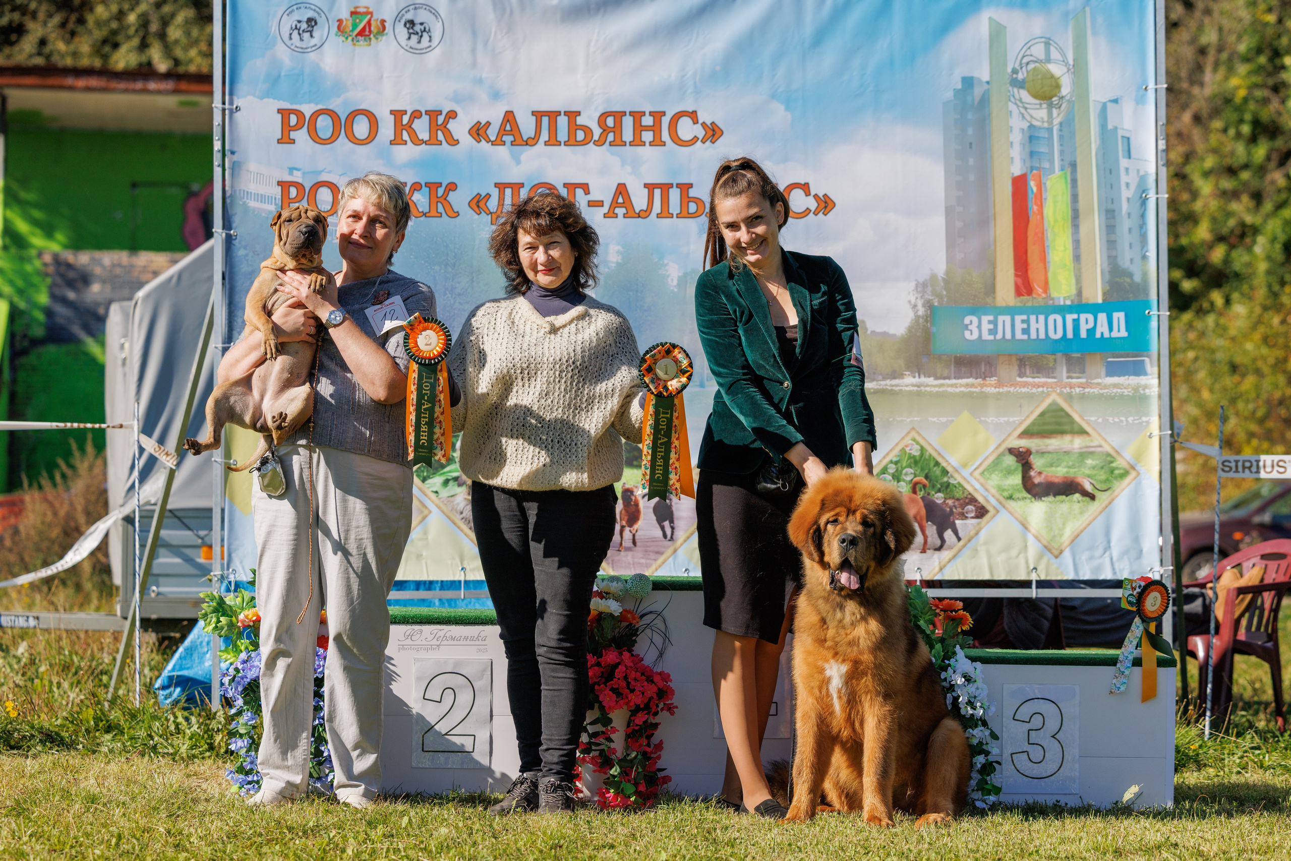 Зеленоград 13.09.2025. Фотограф-анималист Юлия Германика