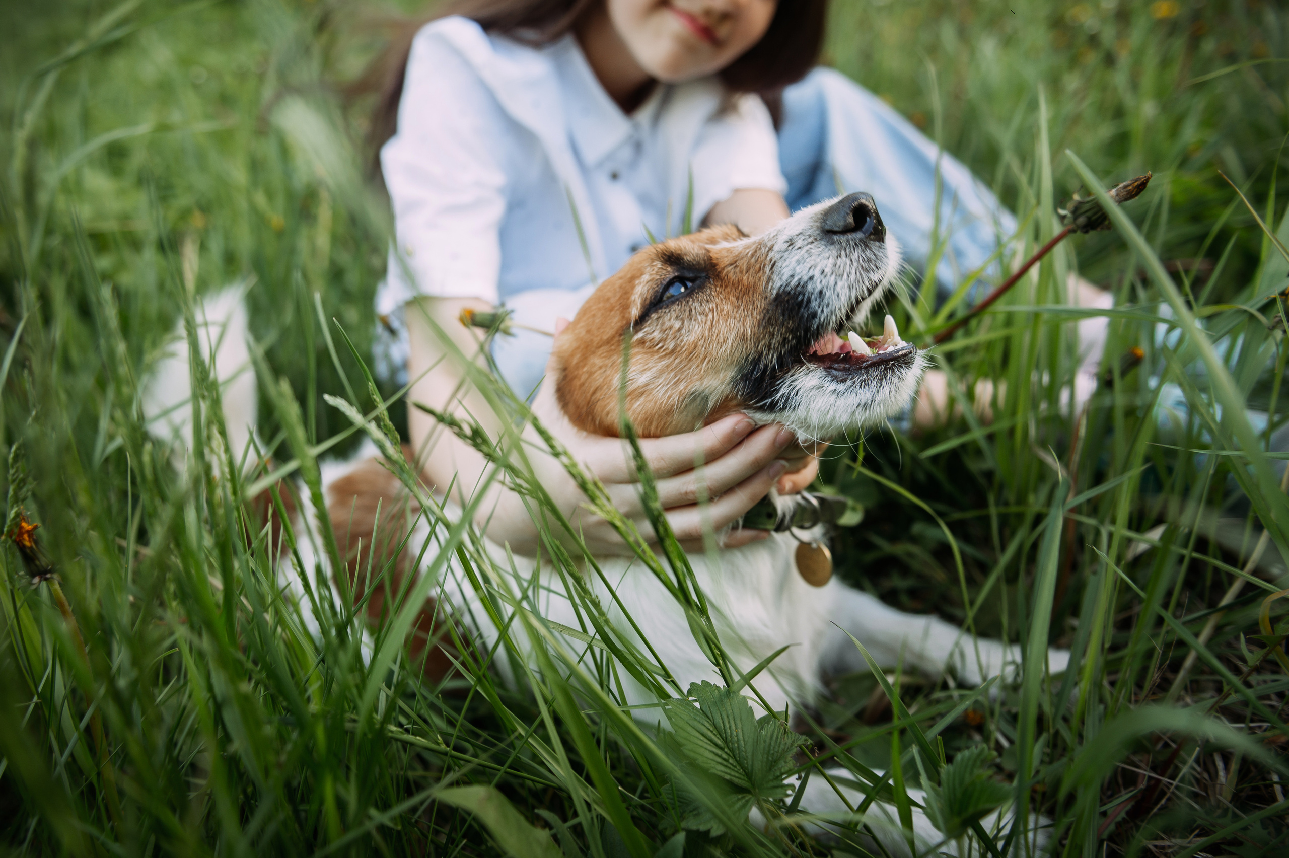 Весенняя прогулка. Свадебный фотограф Алёна Замотаева