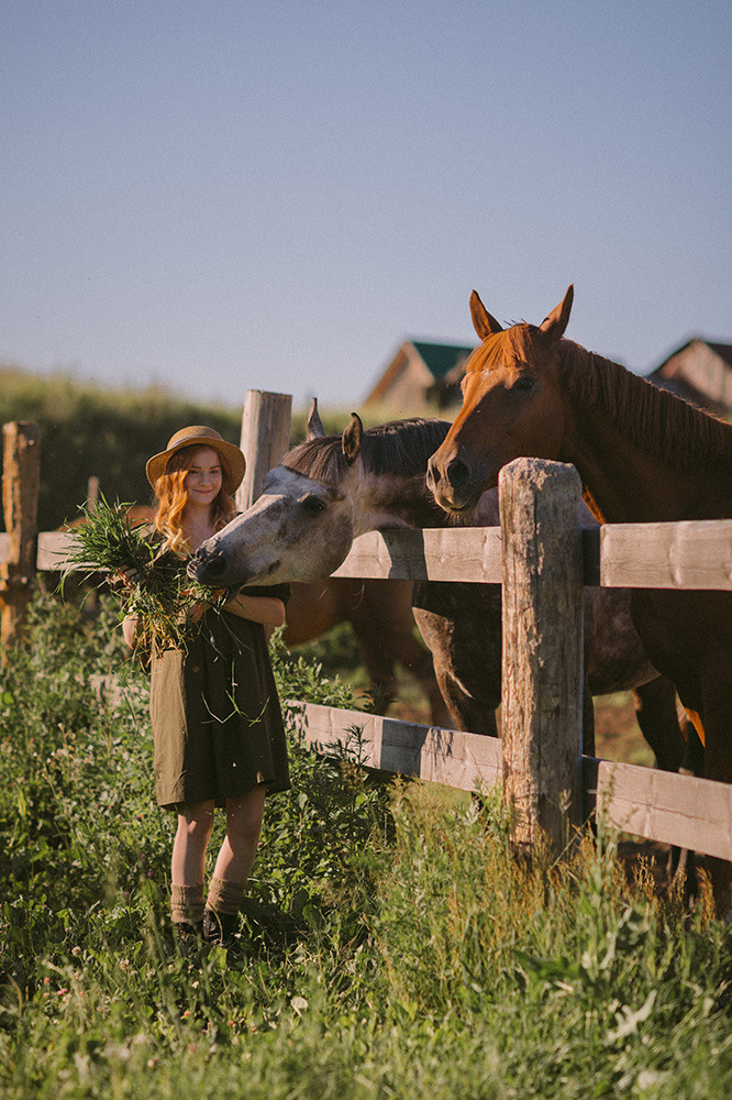 Лето. Люпины. Свадебный фотограф Алёна Замотаева