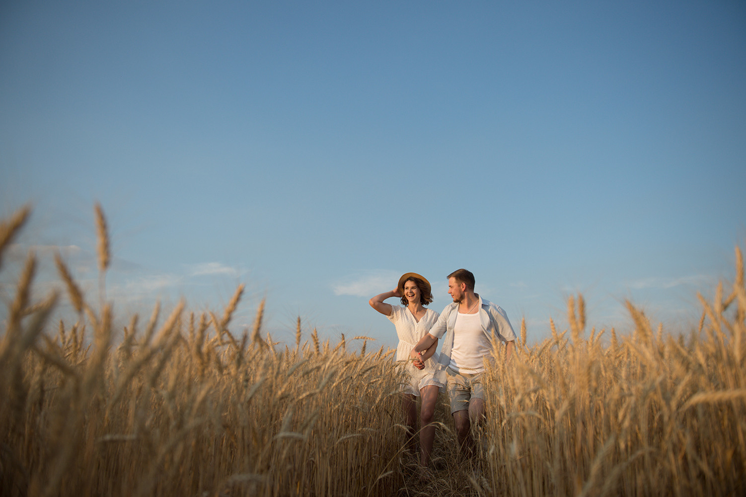 Лето. Люпины. Свадебный фотограф Алёна Замотаева